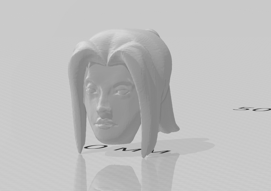 sister_13_a head with a face