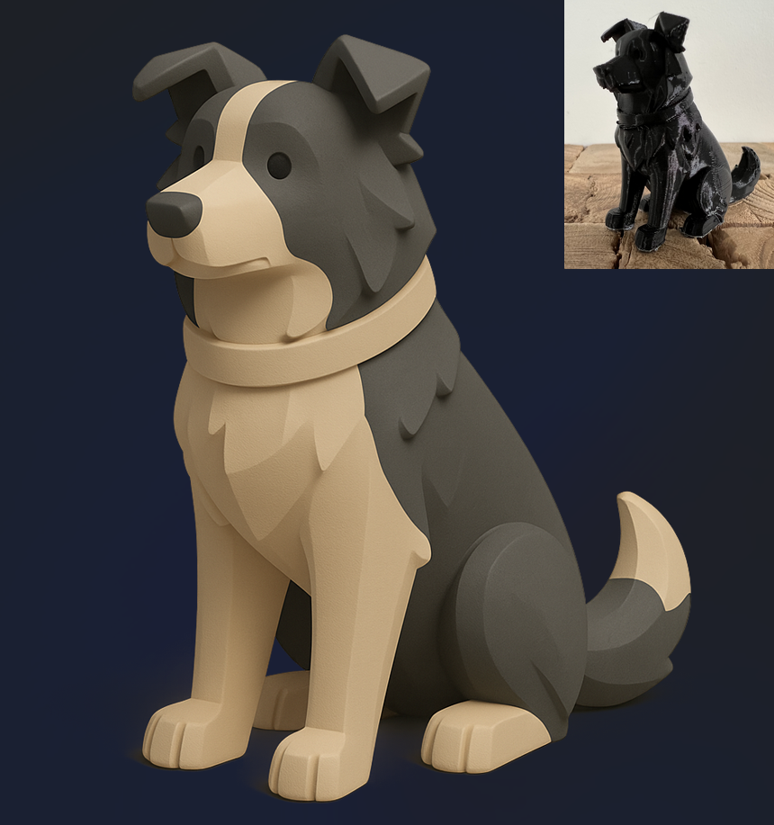 Sitting Border Collie
