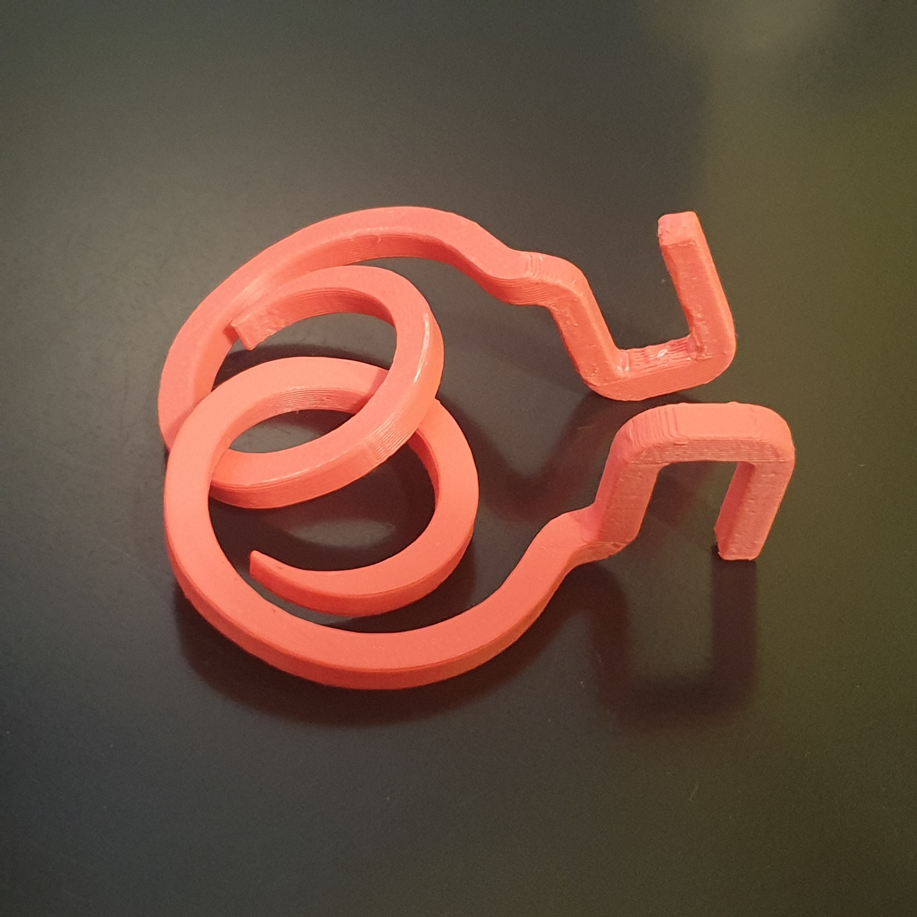 Hook Puzzle 3D model
