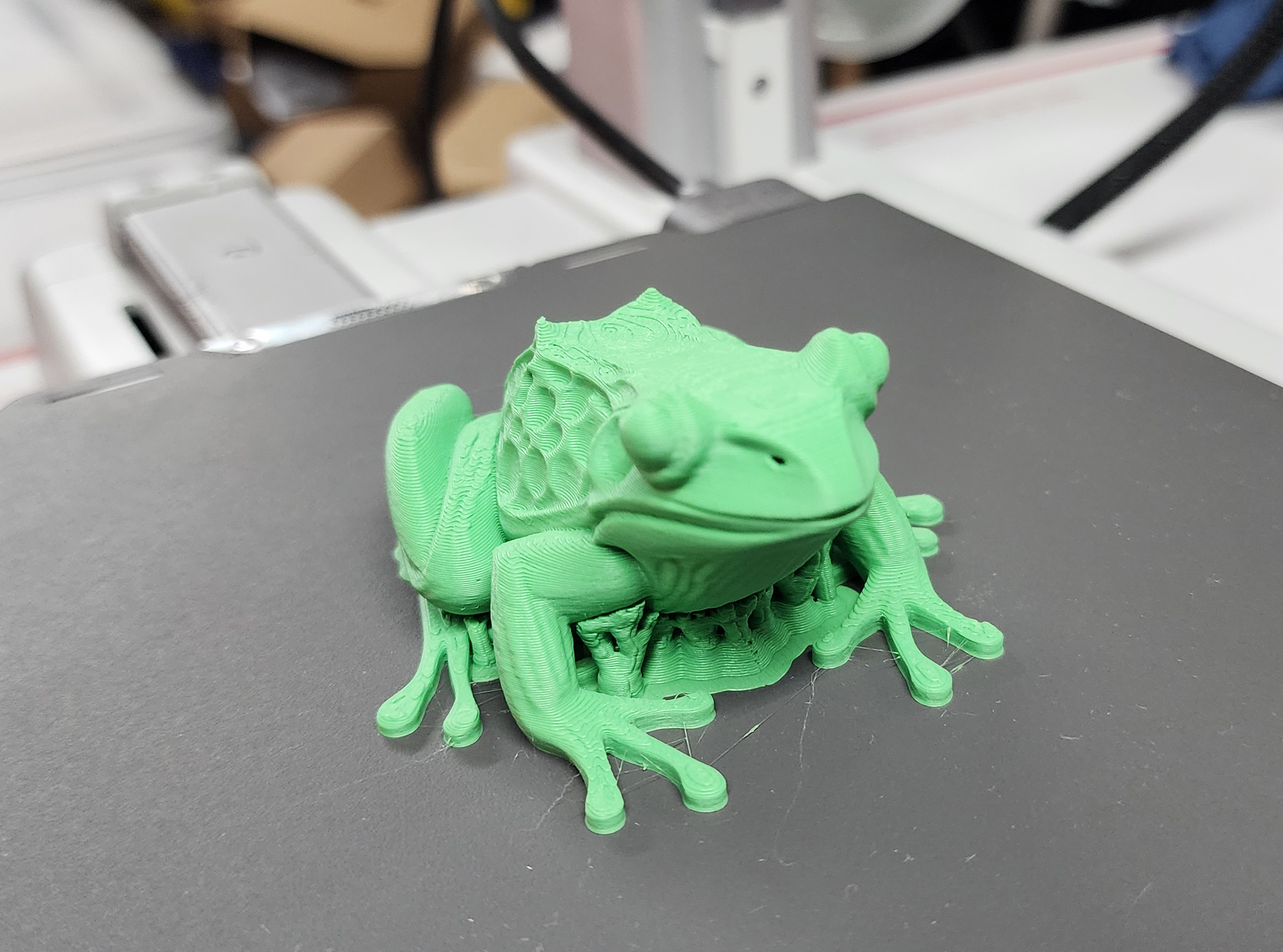 Miniatura 8 do modelo 3D Realistic Frog