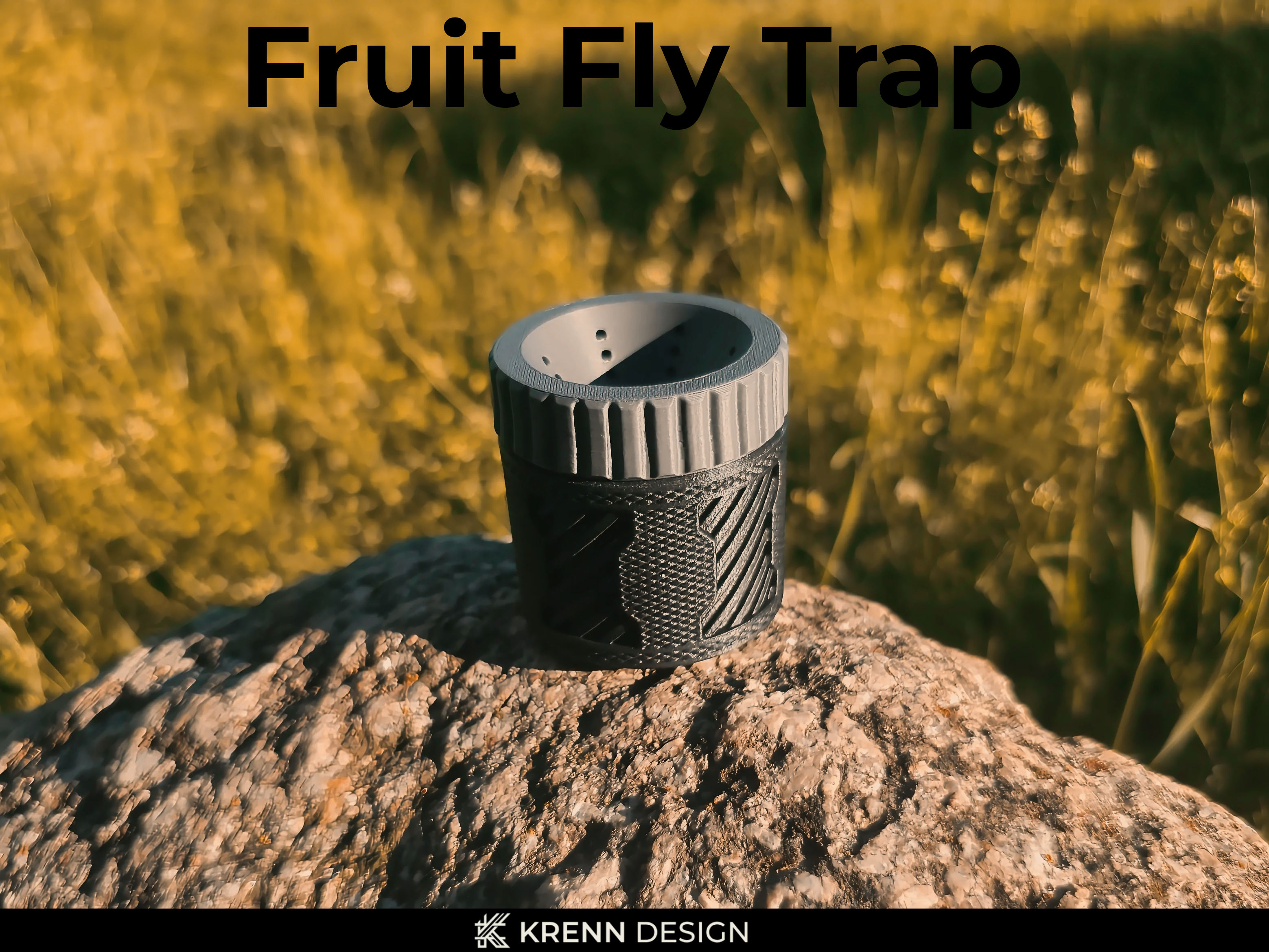 Fruit Fly Trap