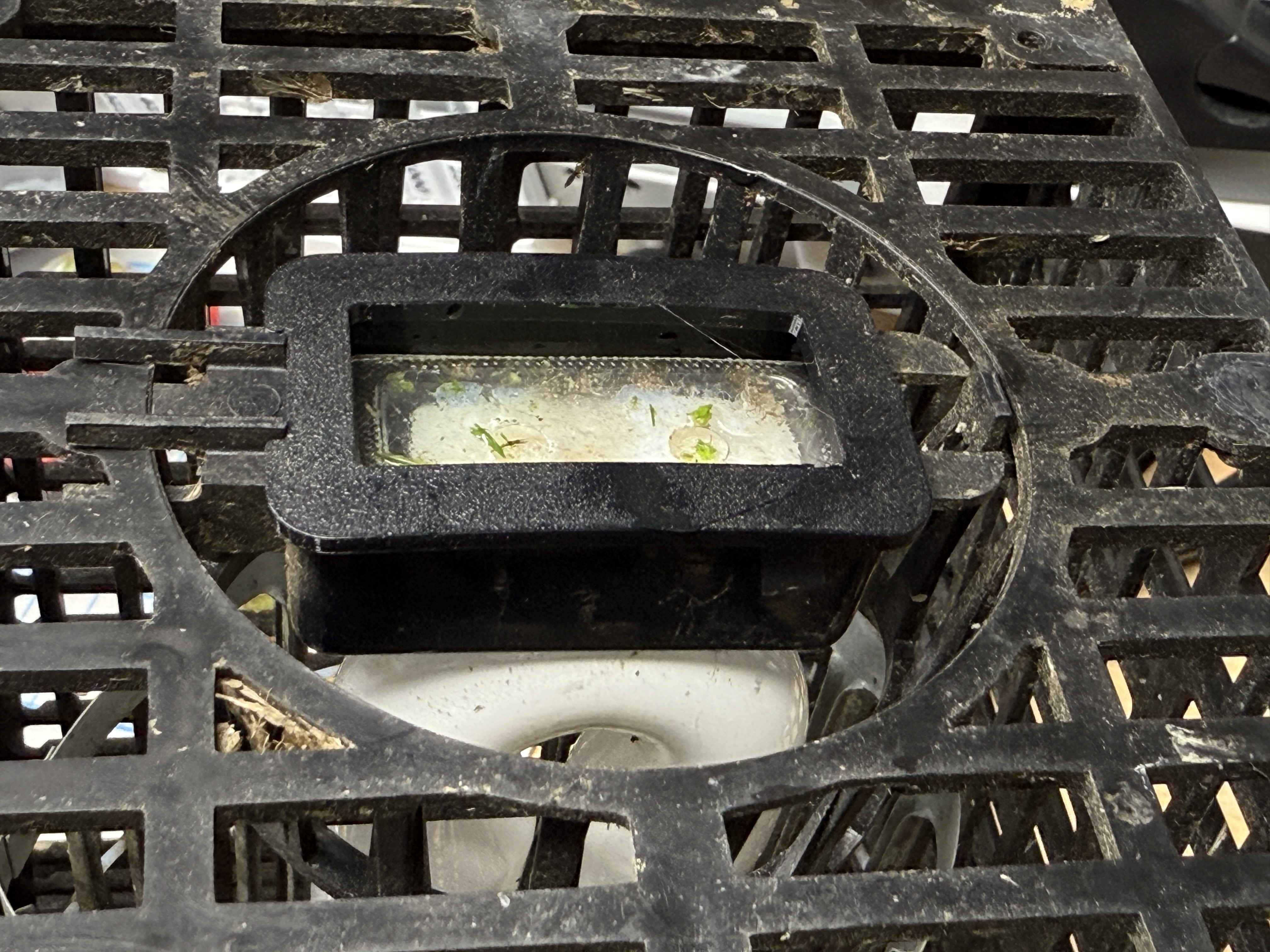 Octenol Attractant Holder for Flowtron Mosquito Magnets