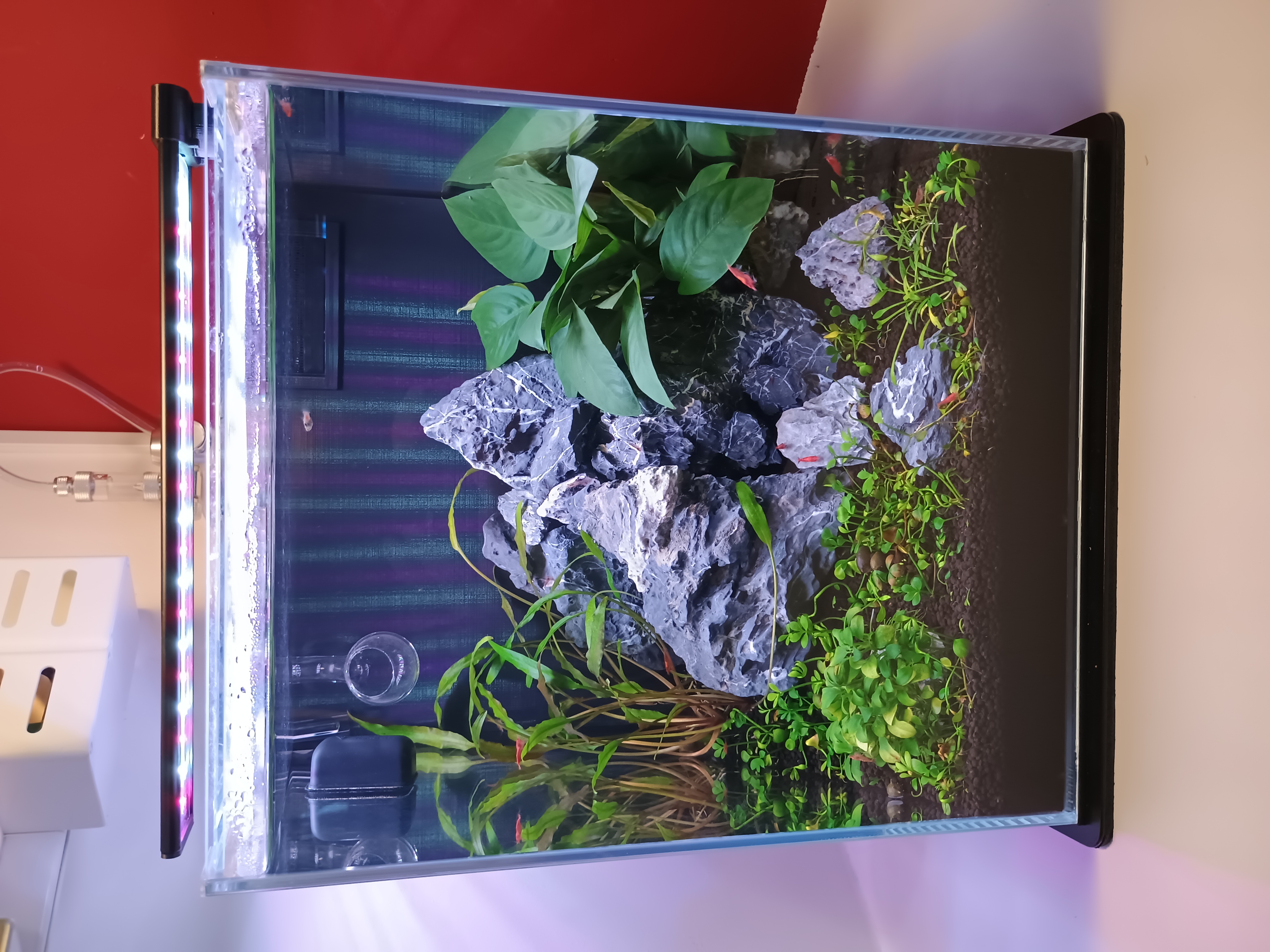 Substrate Stabilization Grid for Aquascaping / Mřížka pro fixaci substrátu v akváriu — thumbnail 7