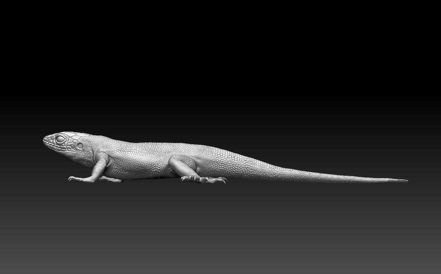 lizard — miniatura 8