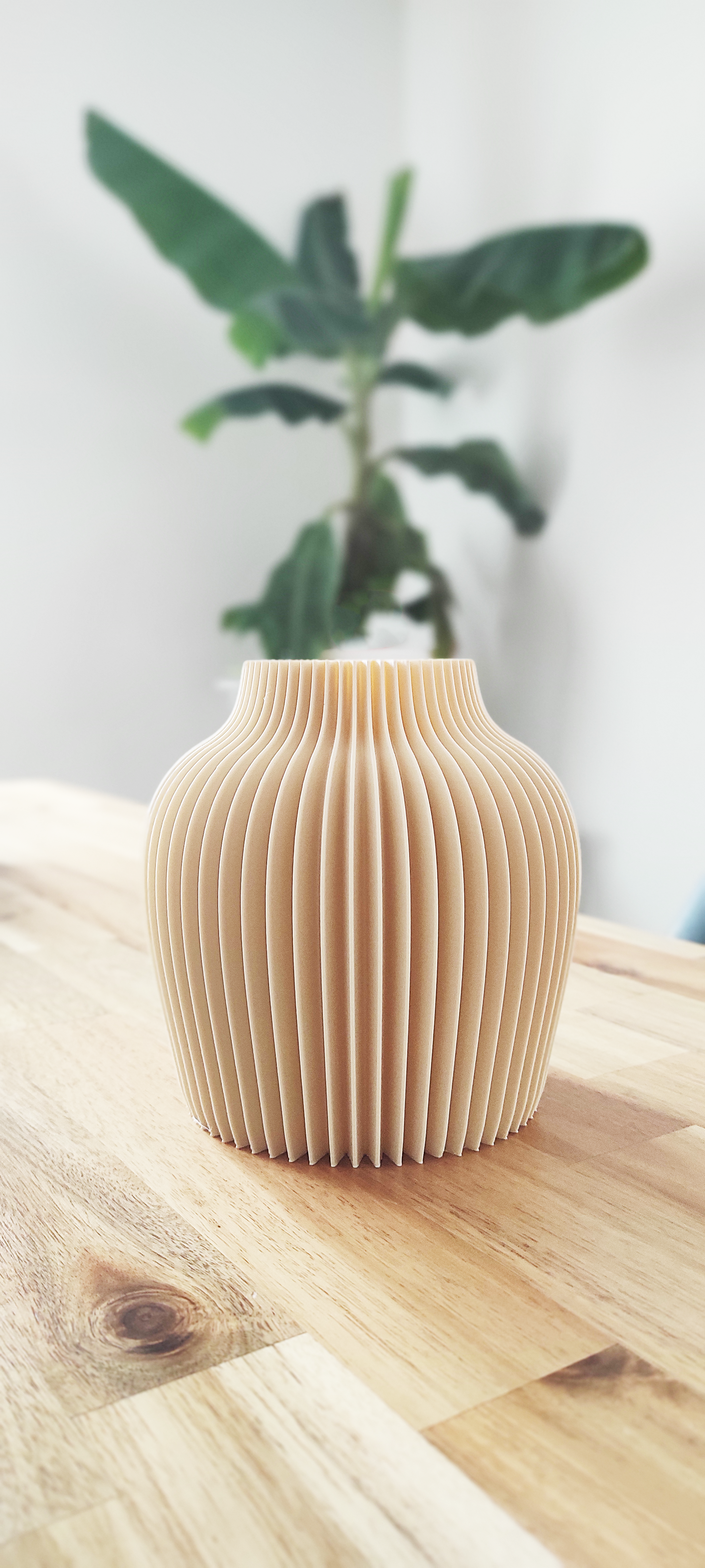 Miniatura 2 do modelo 3D Japandi modern spiky vase