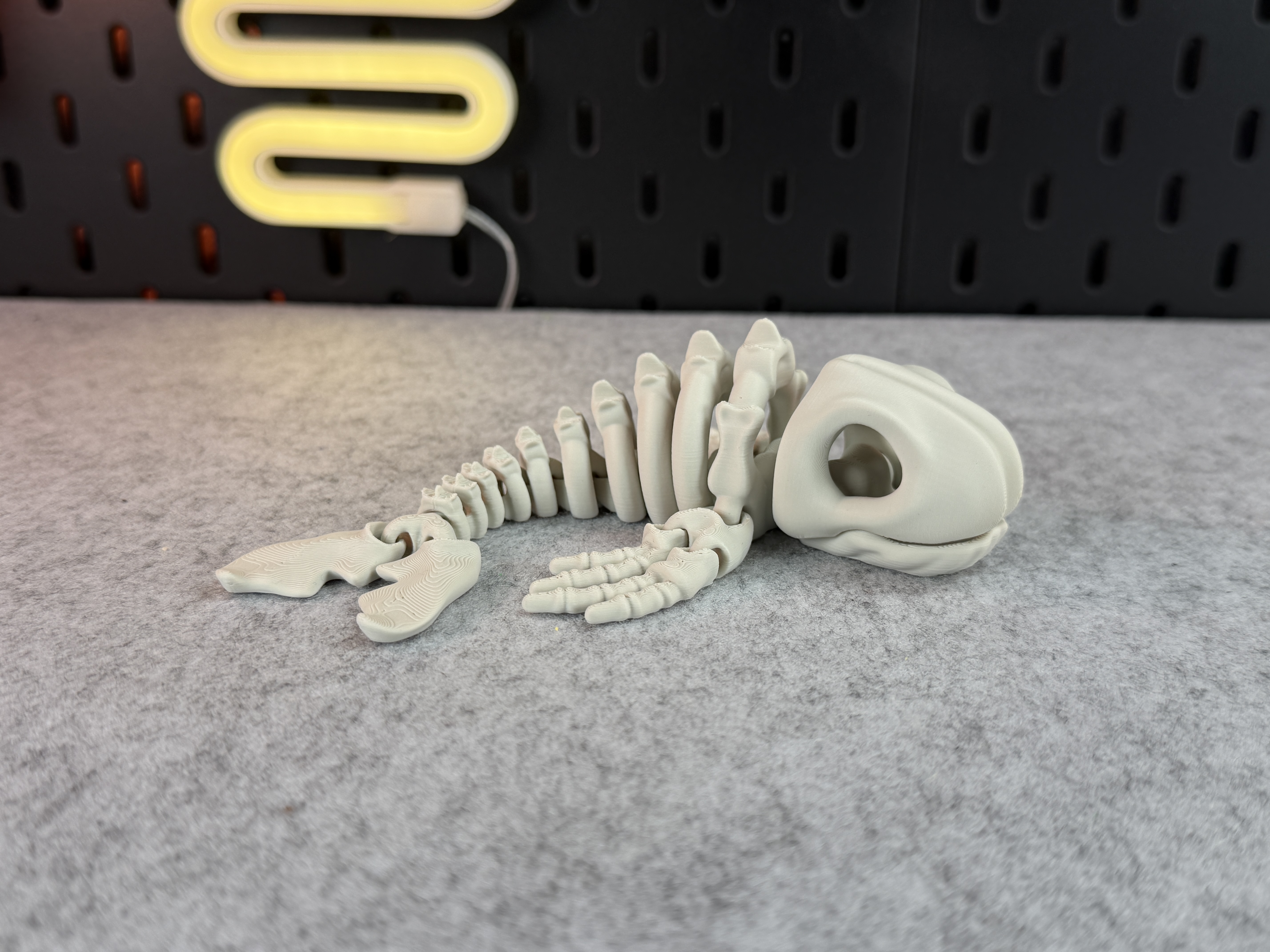 Articulated Skeleton Whale