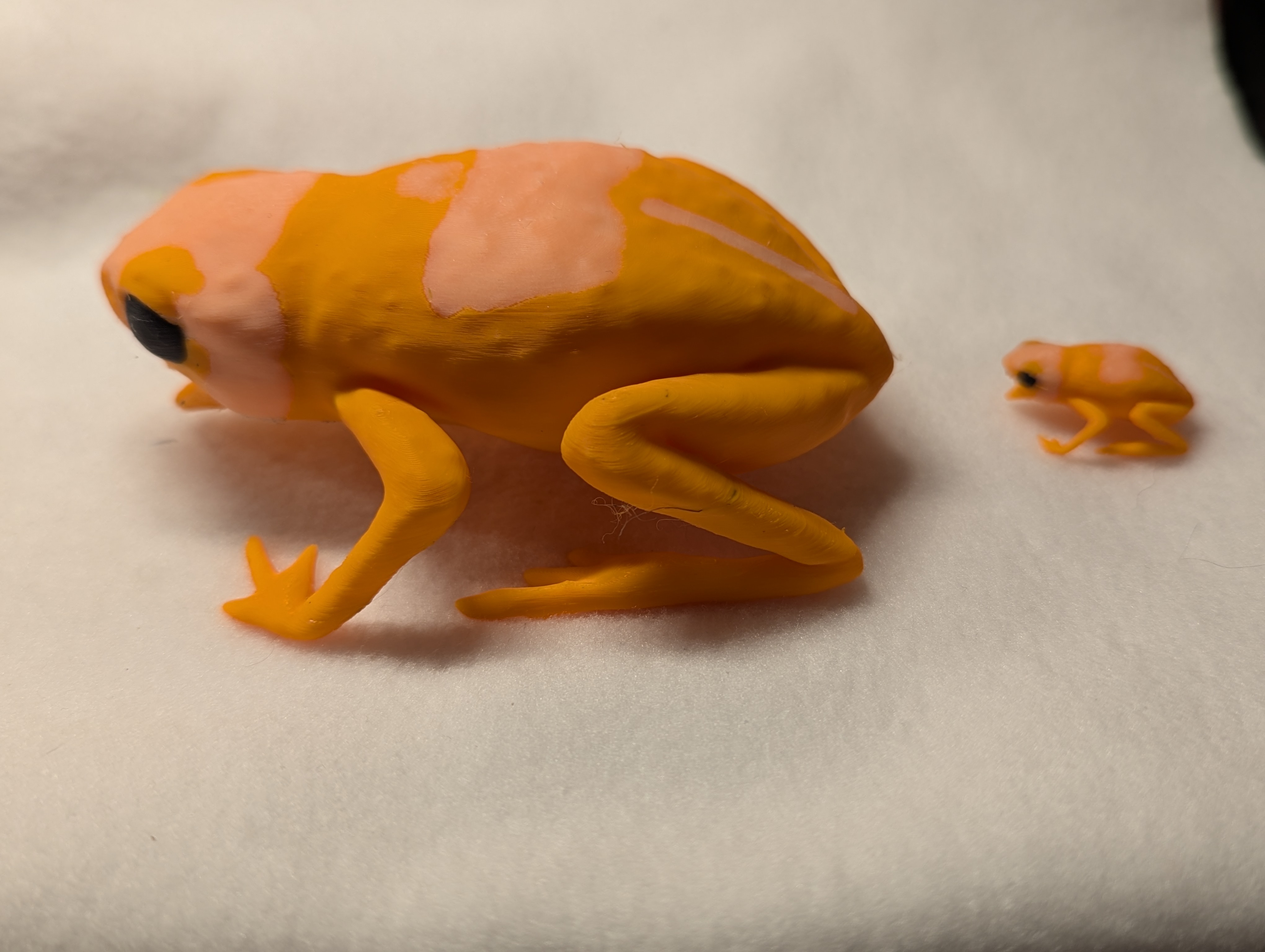 Miniatura 3 do modelo 3D Pumpkin Toadlet (large, screaming)