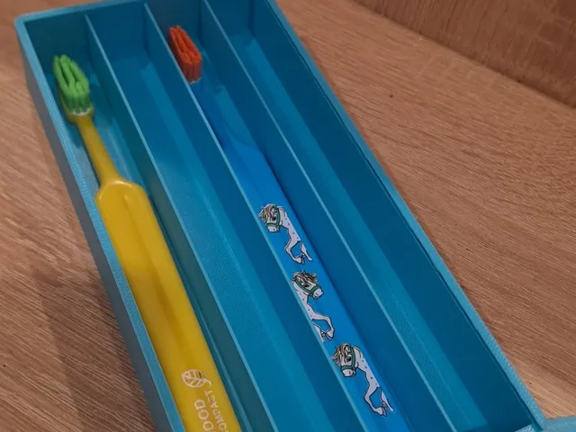 Toothbrush Travel Case 2