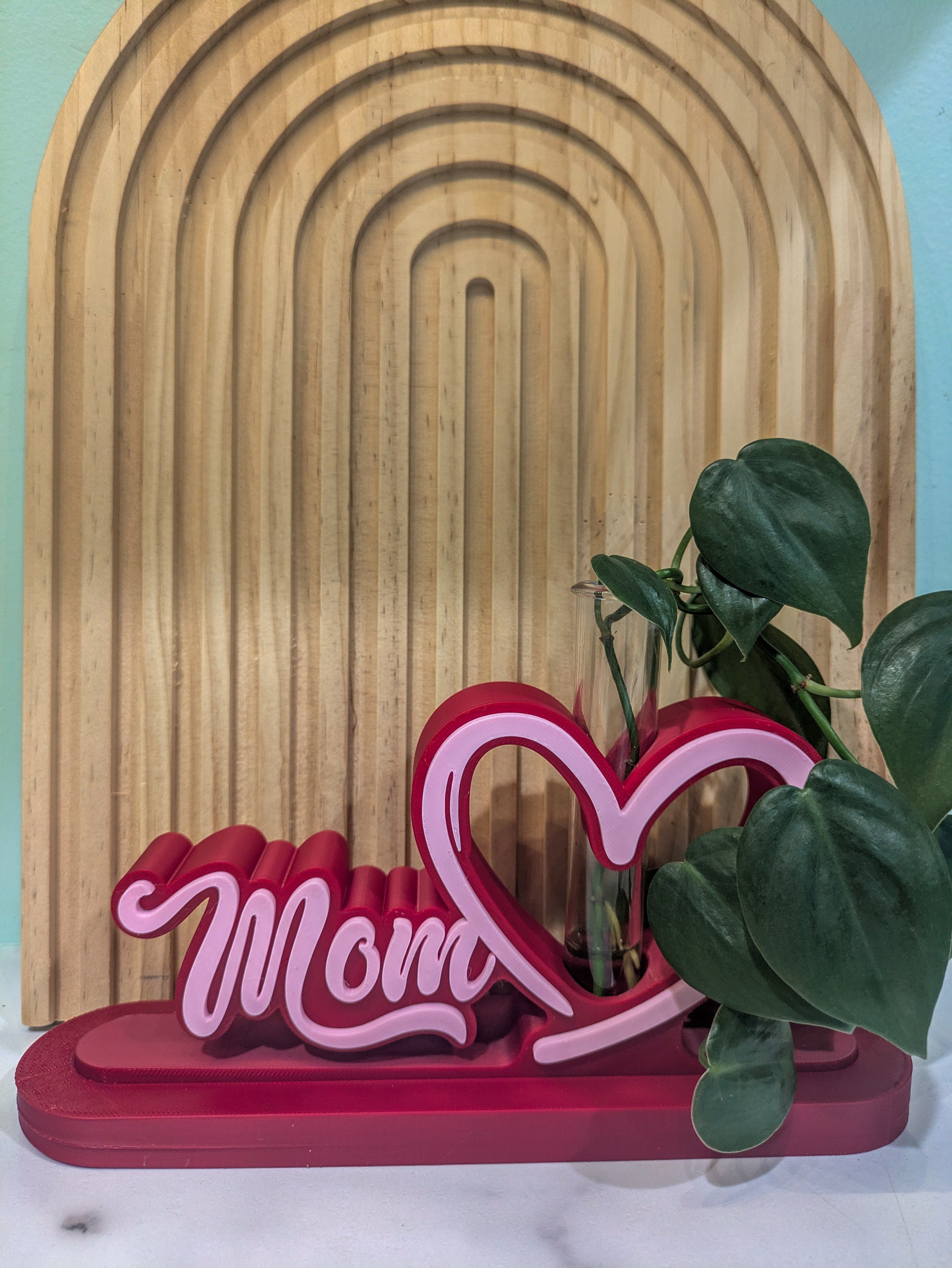 Mothers Day Plant Display