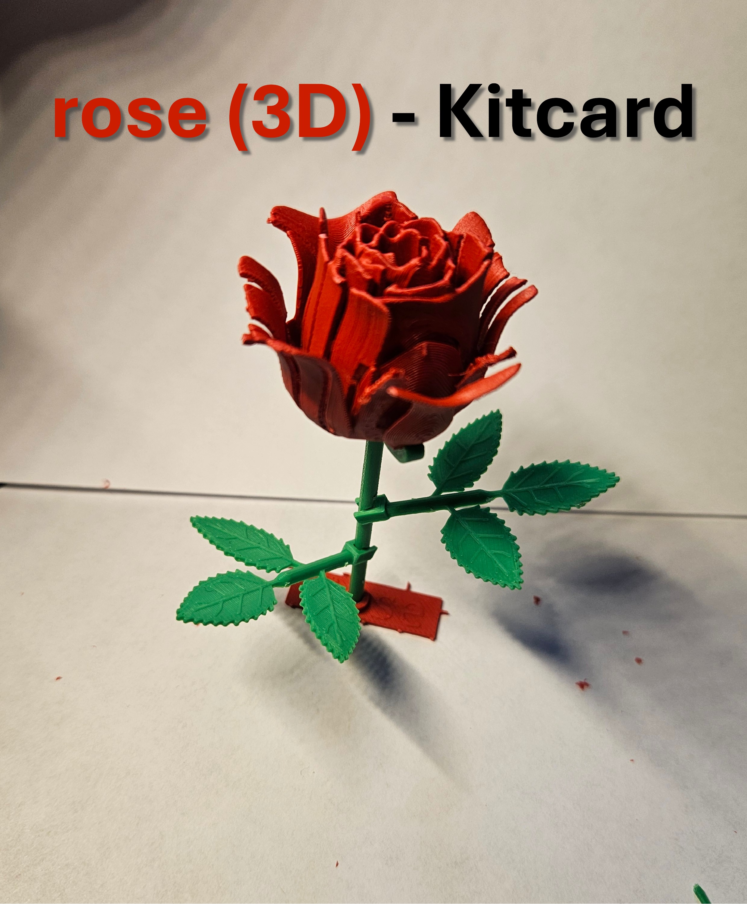 rose kitcard — miniatura 2