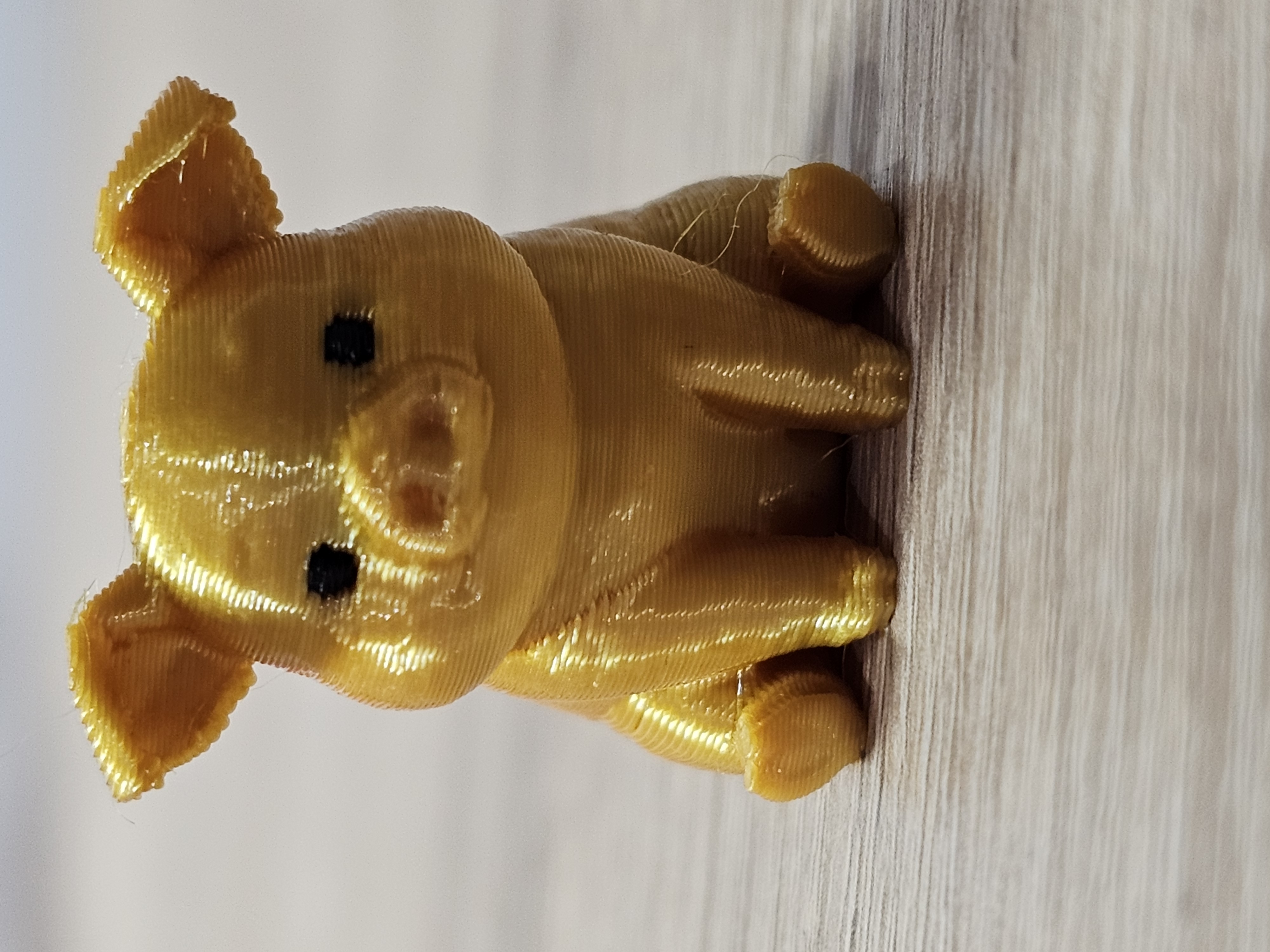 Zlaté prasátko / Golden pig