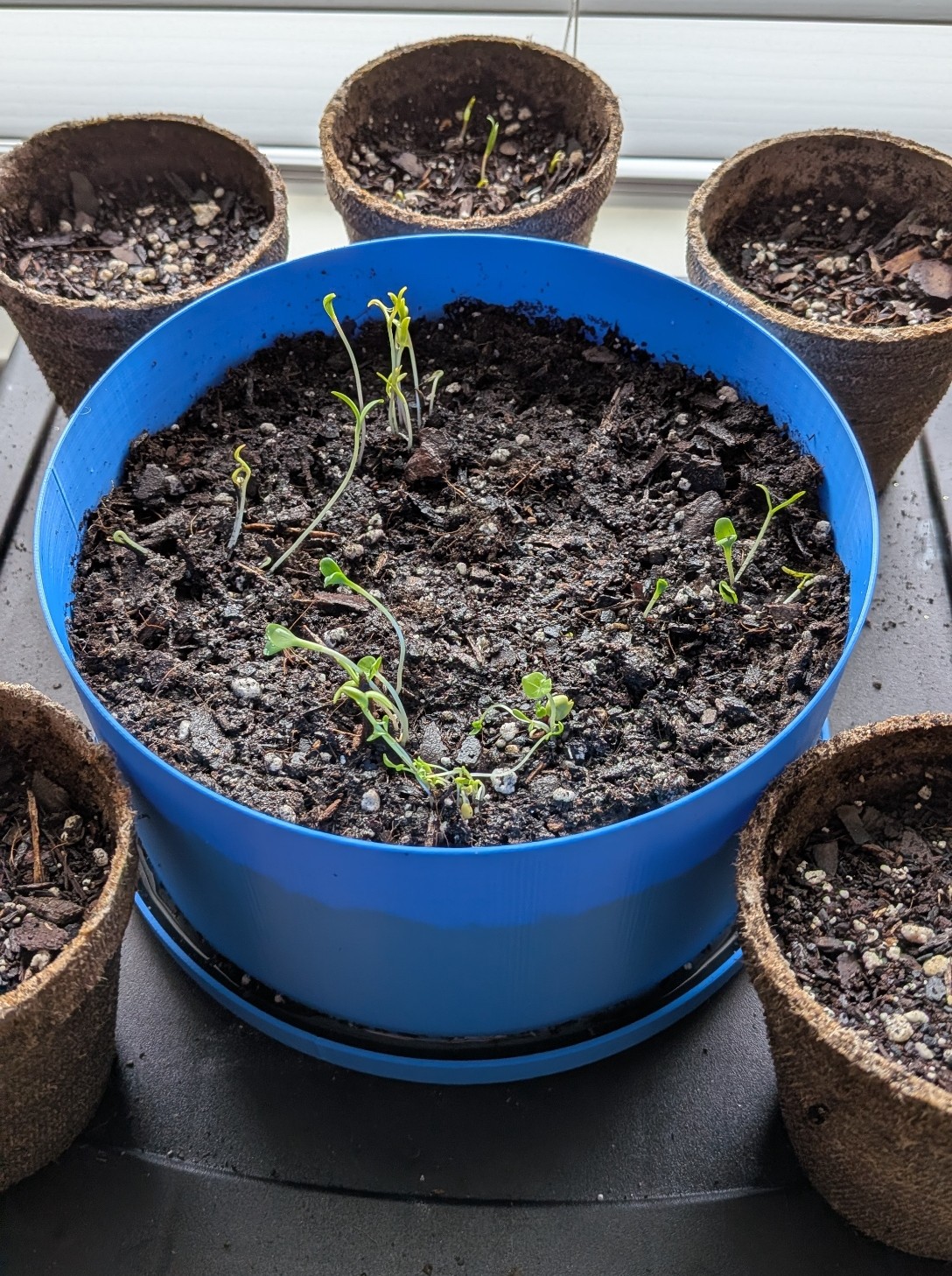 Large Round Planter and Planter Saucer