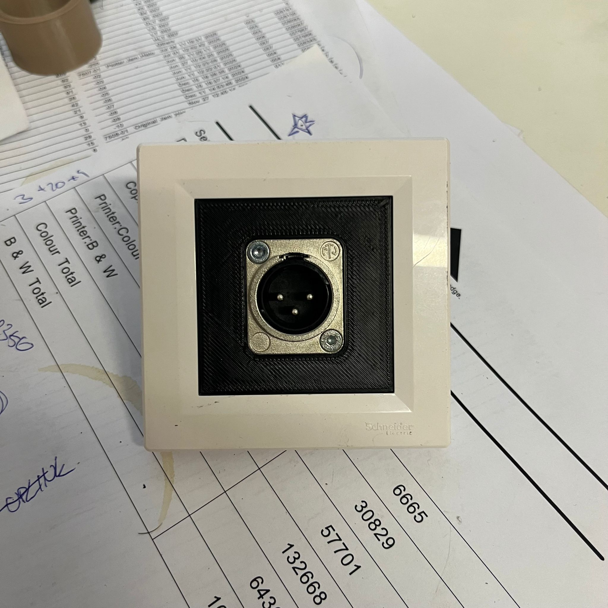 Schneider Asfora to Neutrik socket