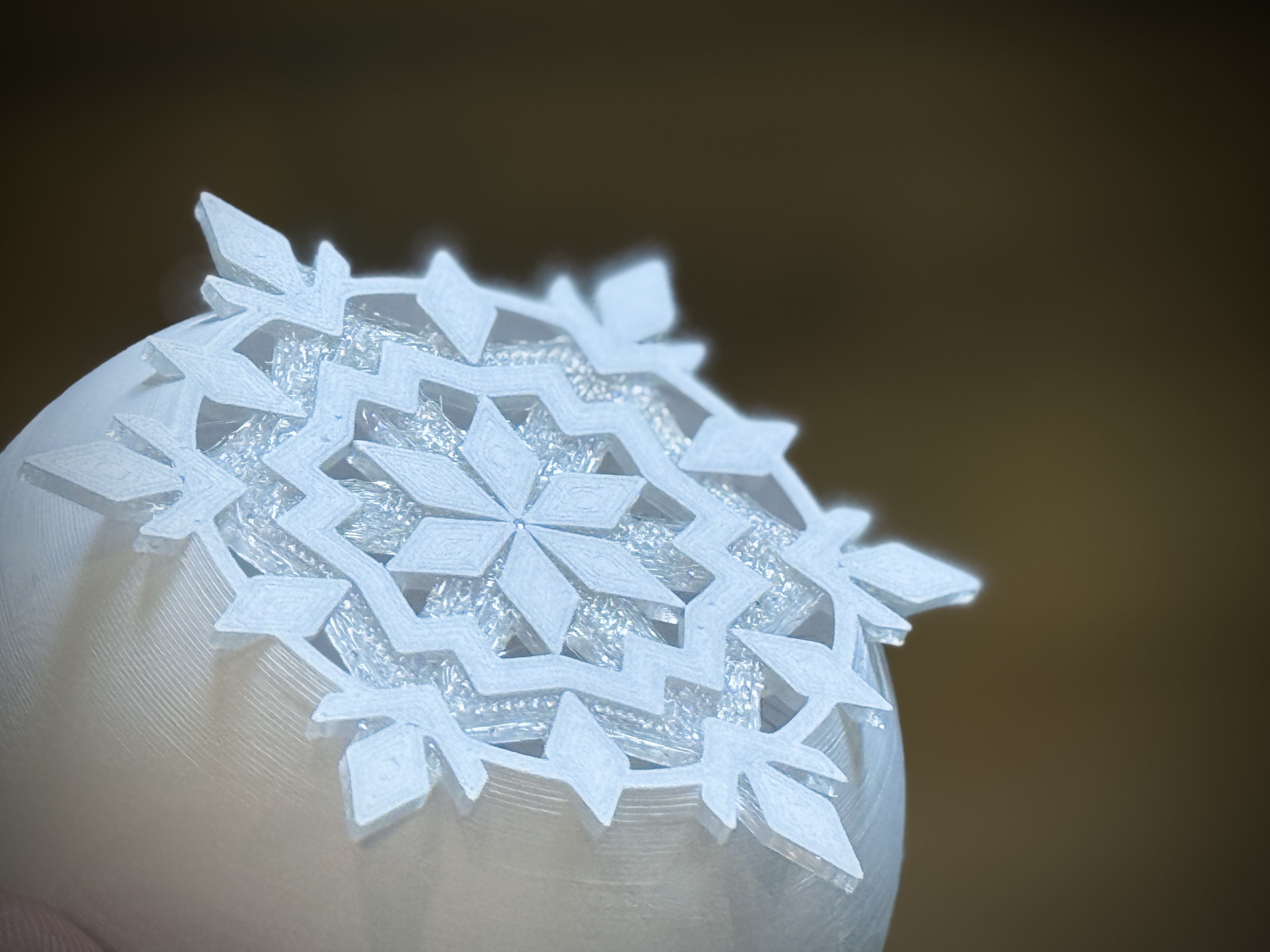 Entrapped Snowflakes Christmas Ornaments