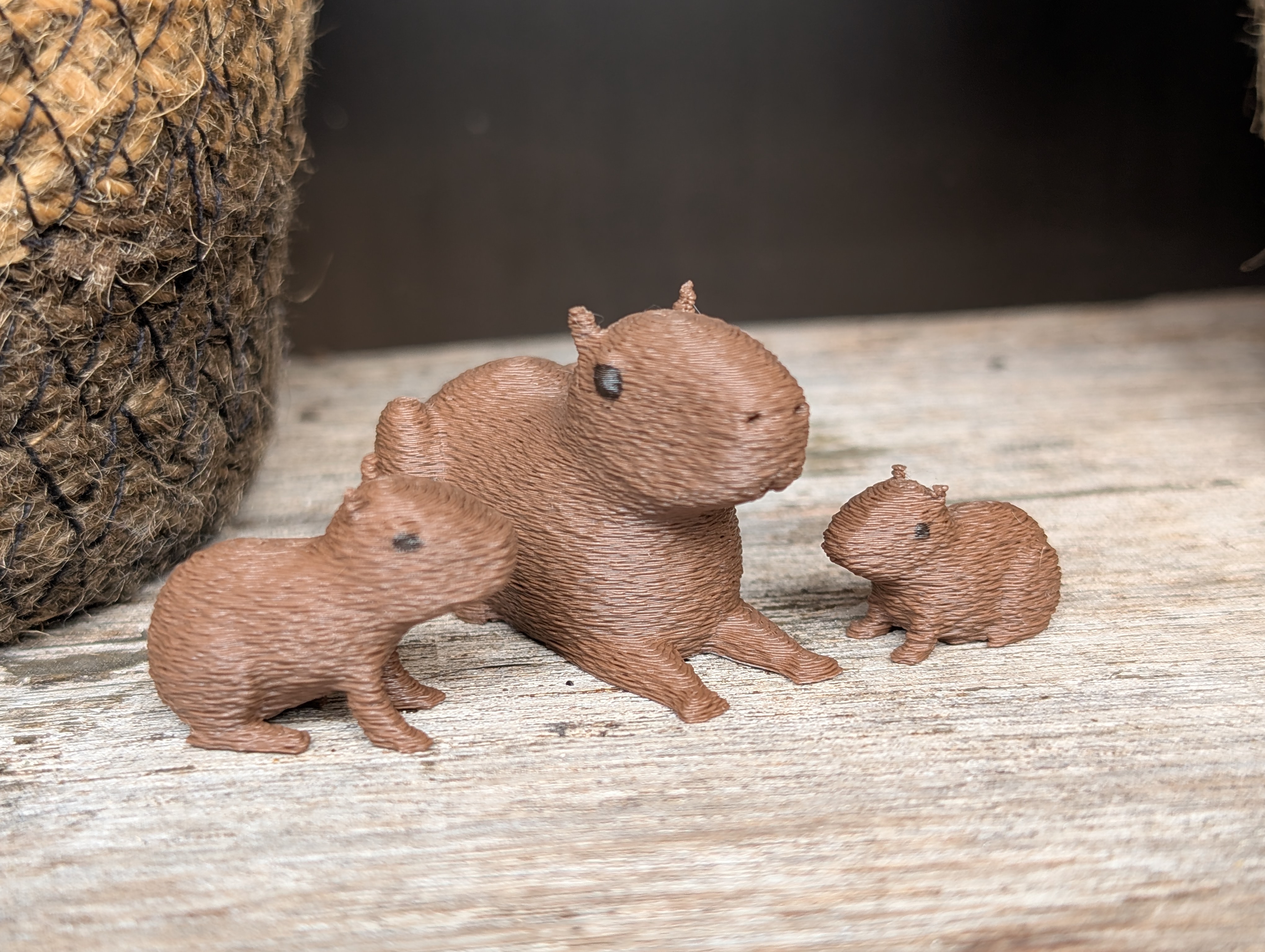 Capybara Family