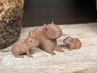 Capybara Family