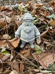 Christmas Santa Claus standing