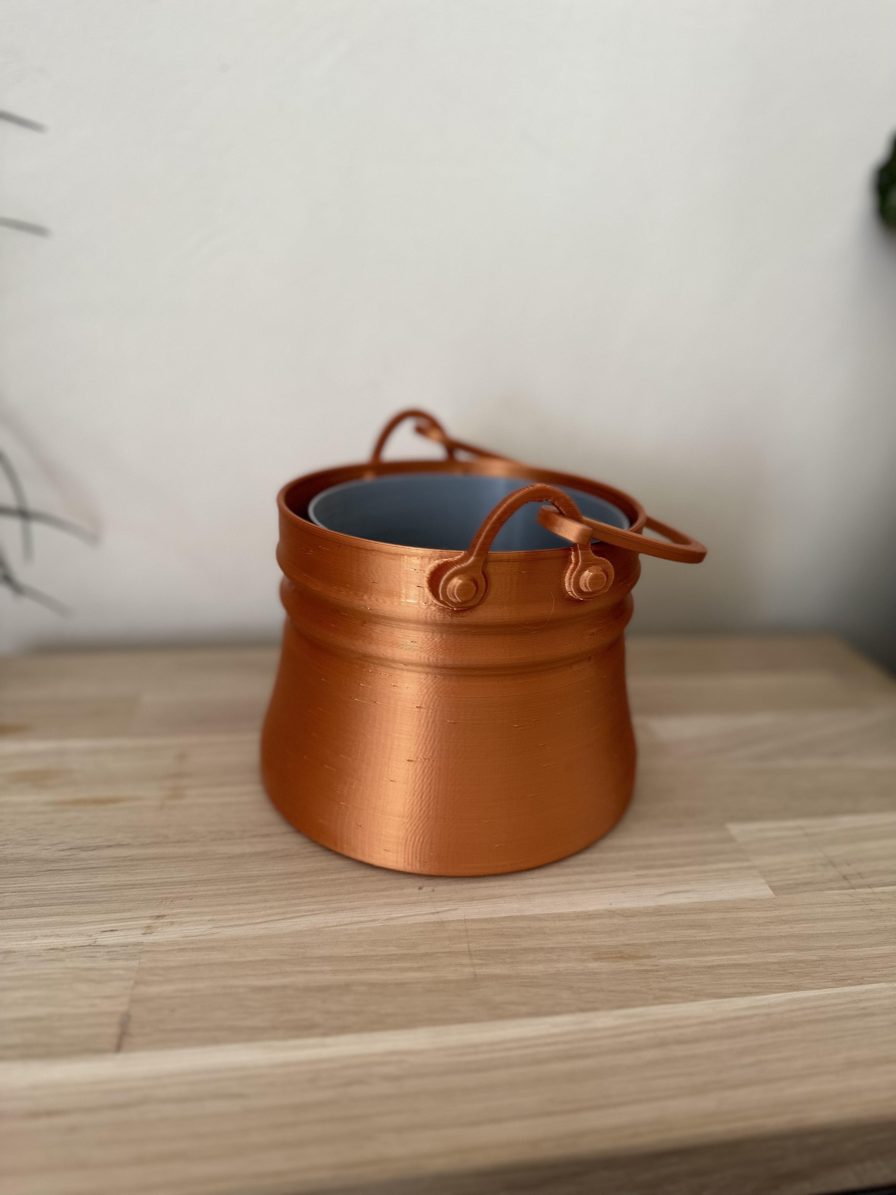 Cauldron plants pot