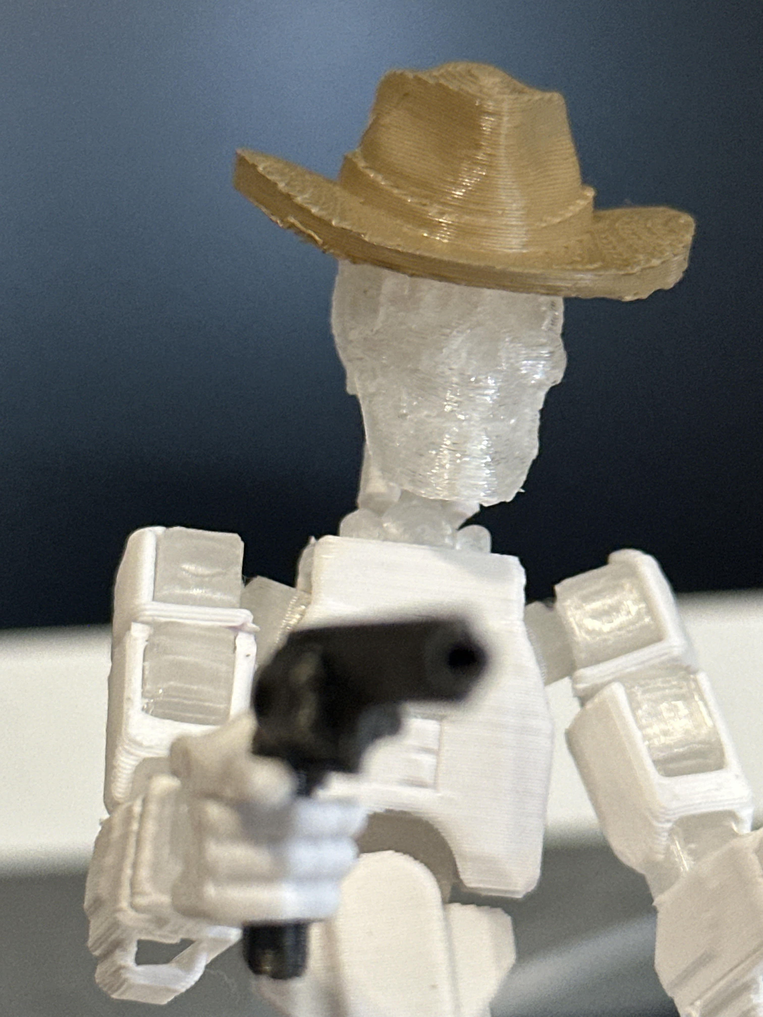 cowboy skull
