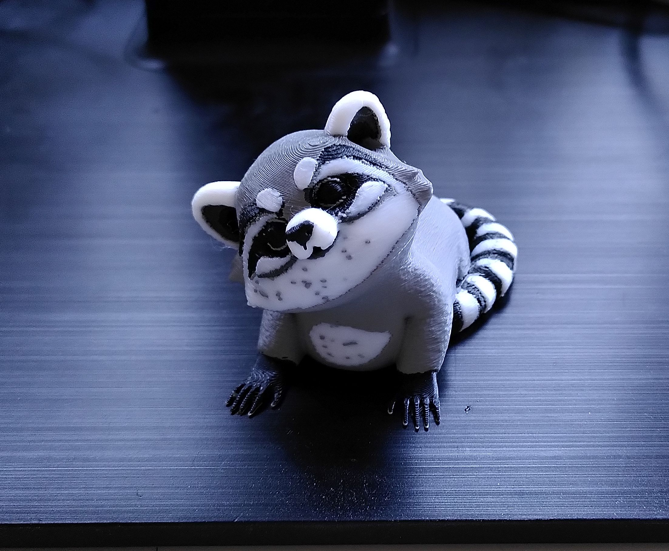 Raccoon / Waschbär 3D model