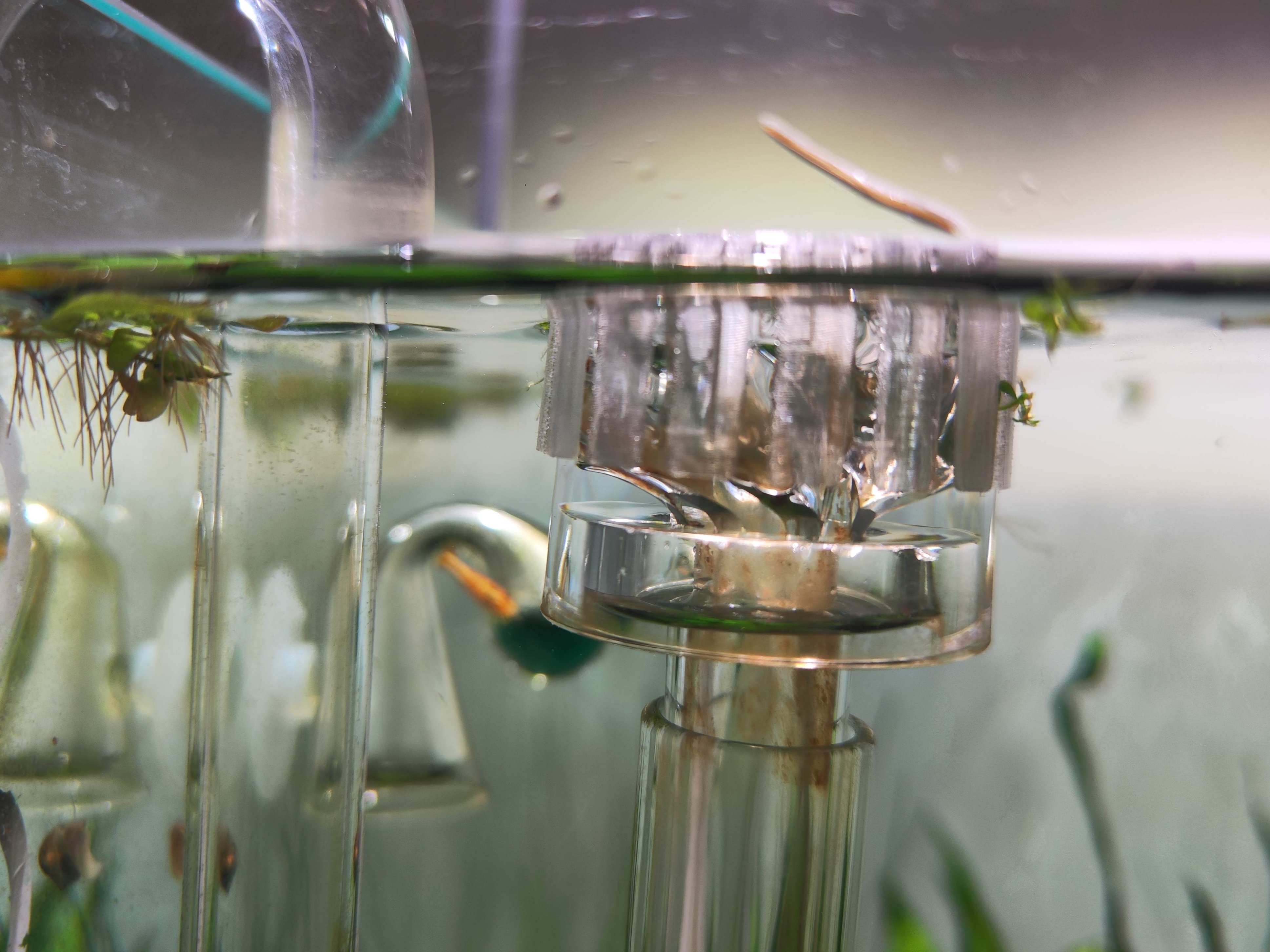 Skimmer Shrimp Guard 40mm — thumbnail 3