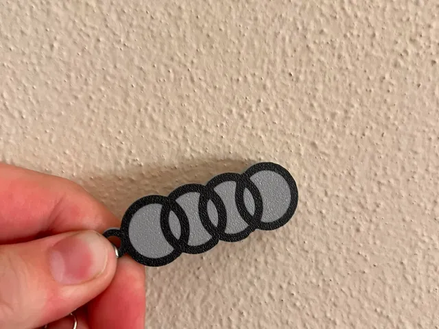 Audi key ring