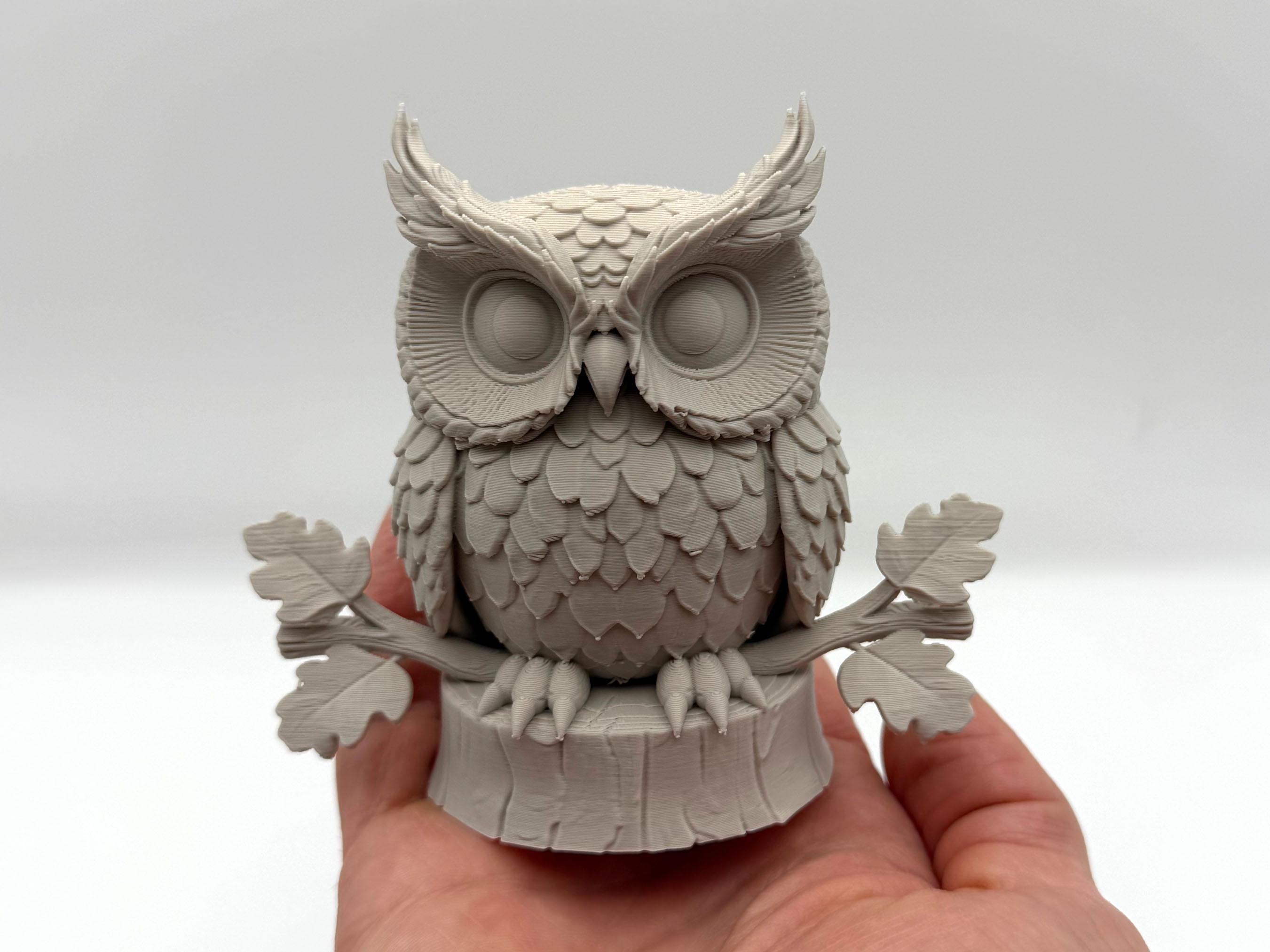 Owl on Branch