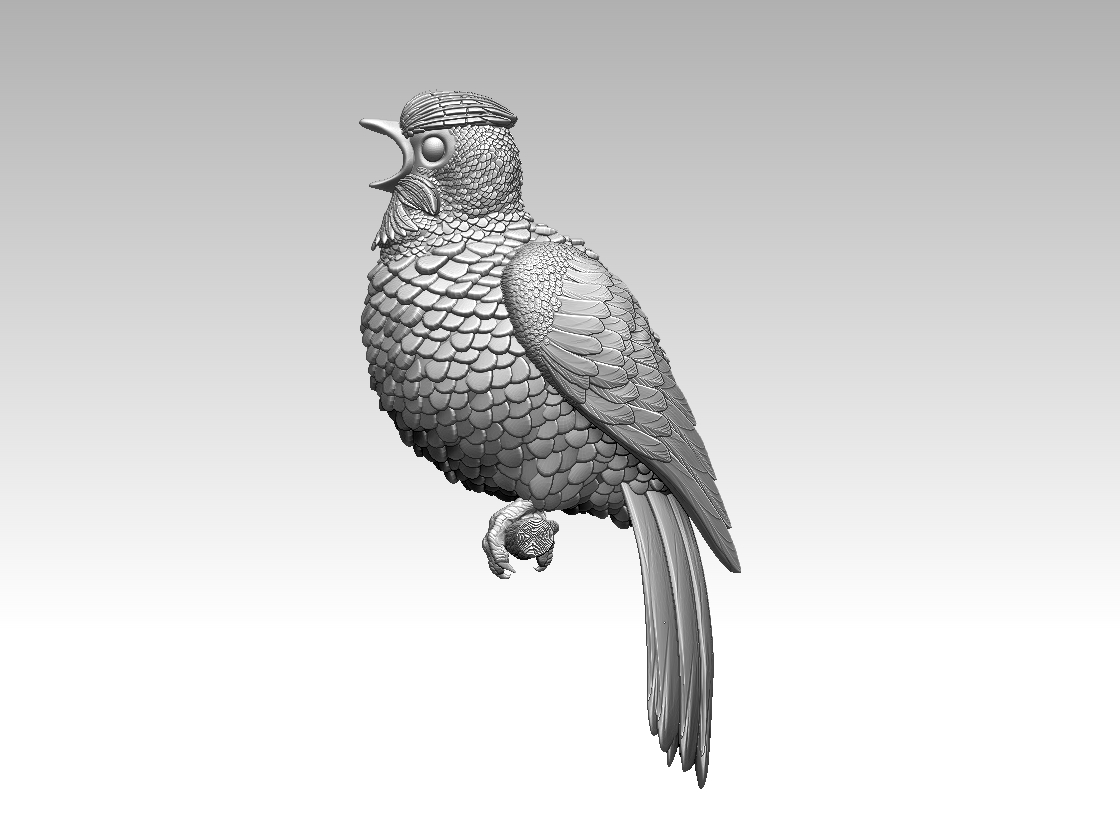 bird