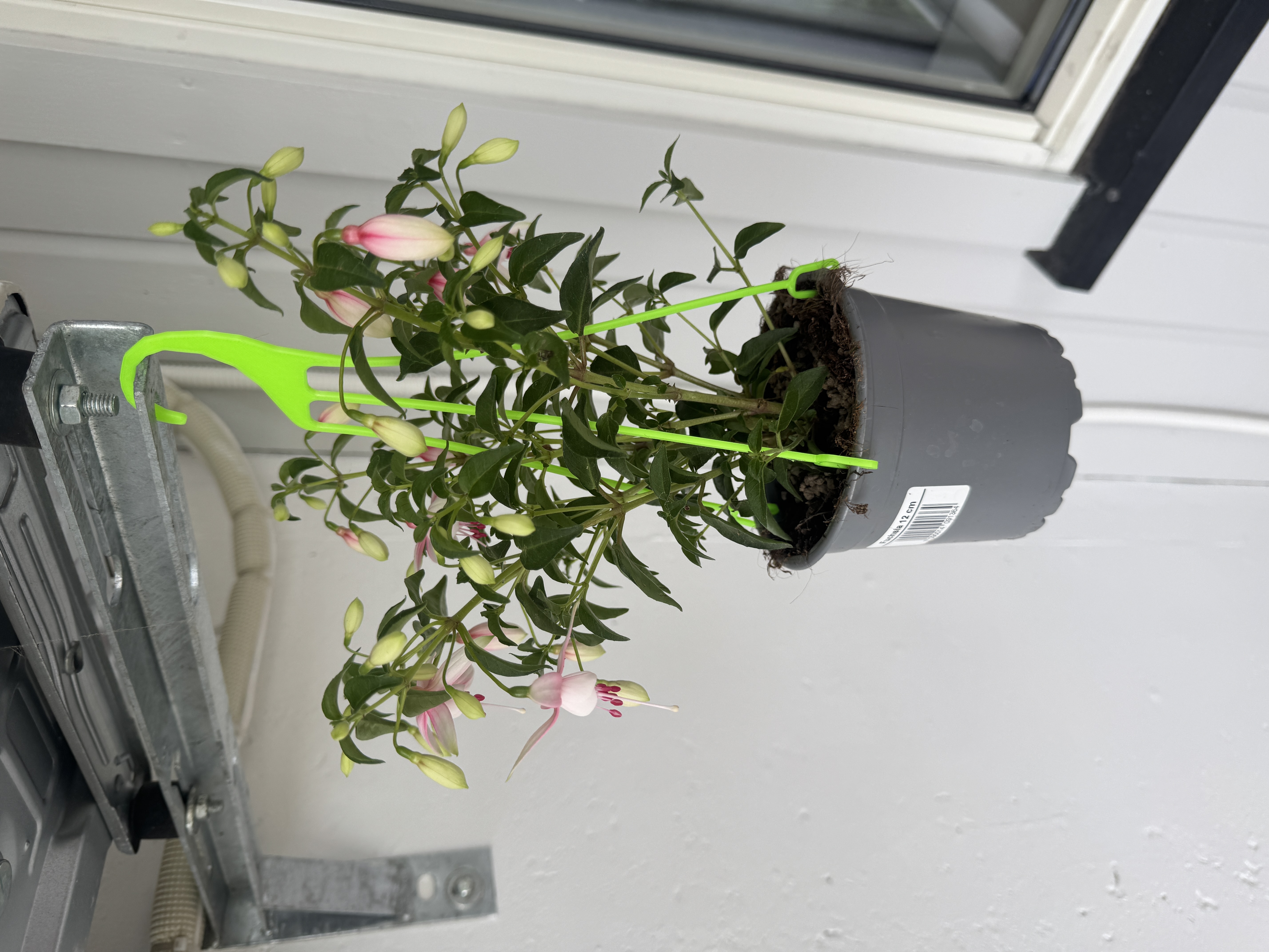Plant pot hanger