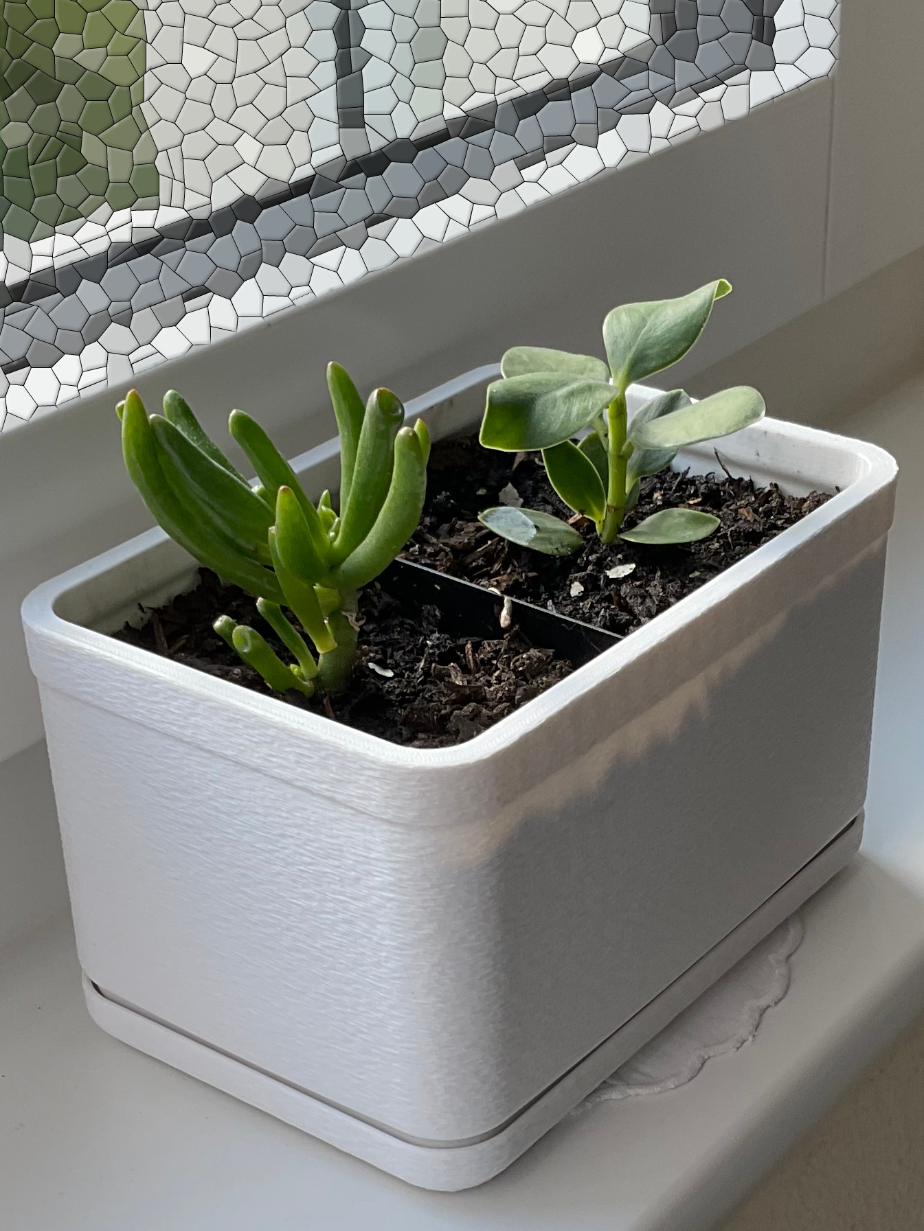 Rectangular Indoor Flower Pot