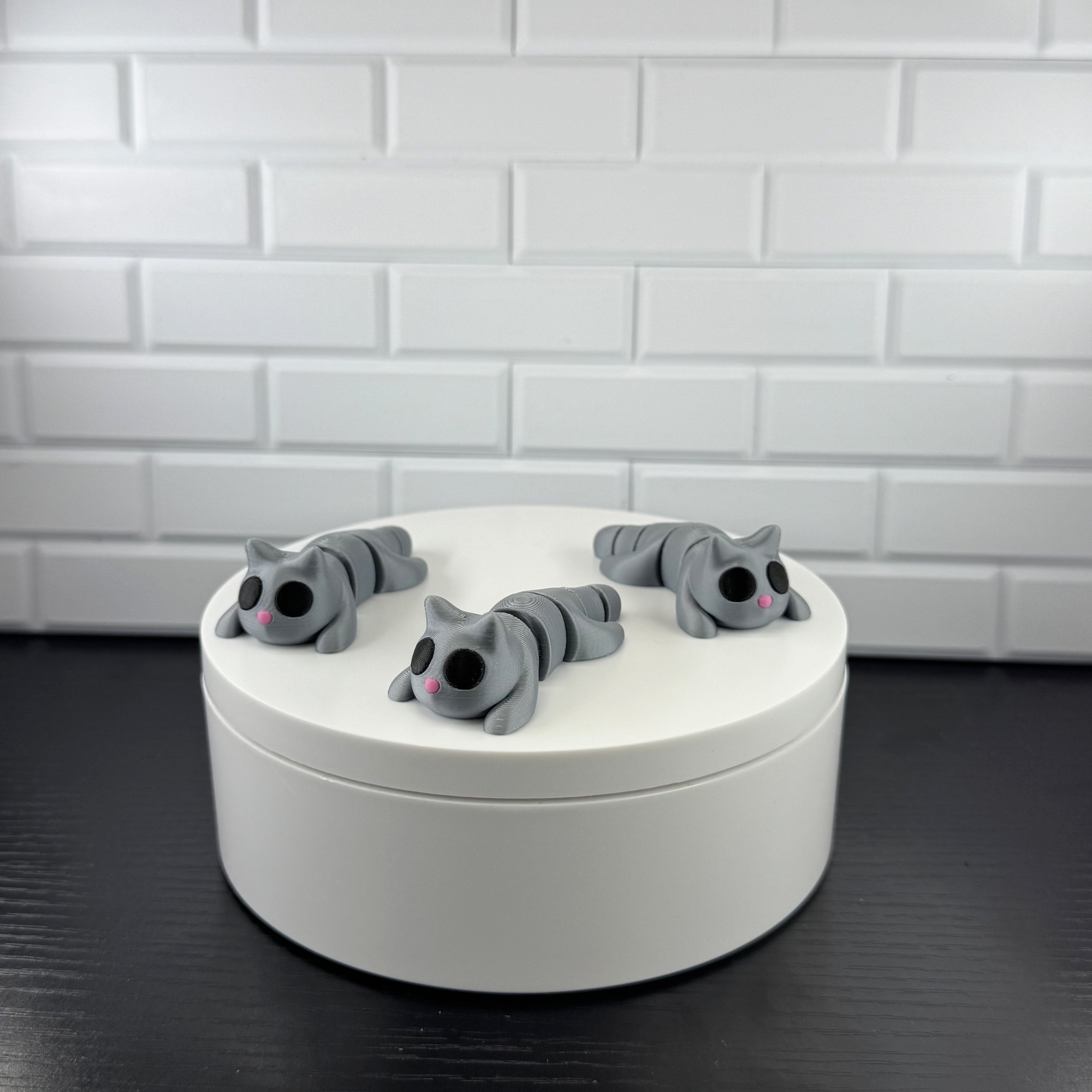 Cat Fidget Toy