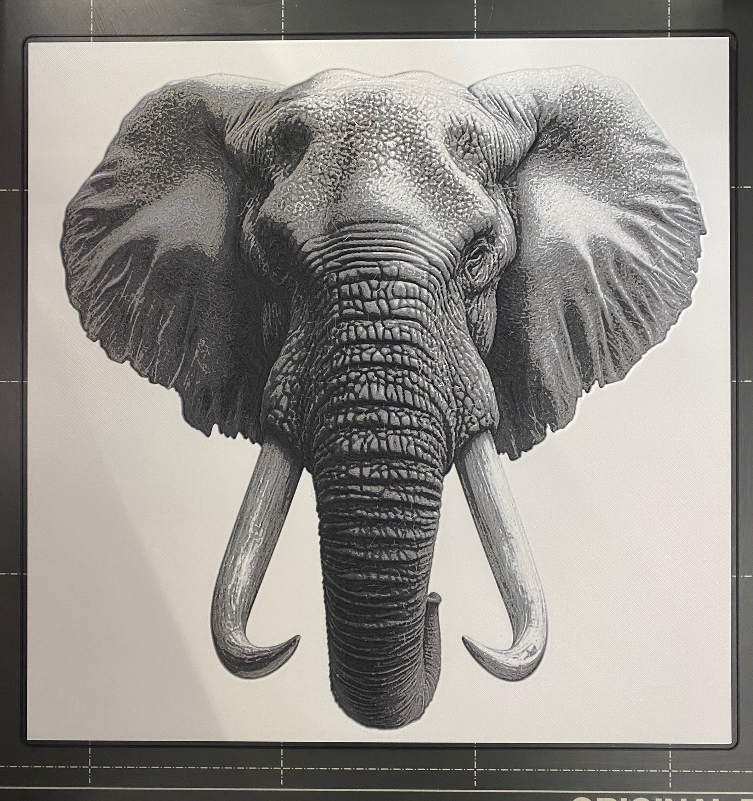Bull Elephant - Hueforge