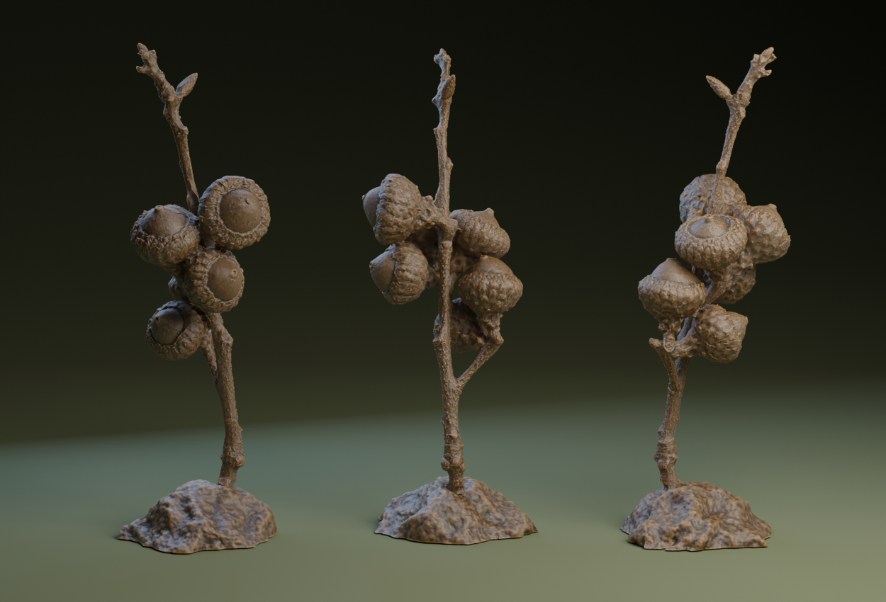 Twig and Acorns