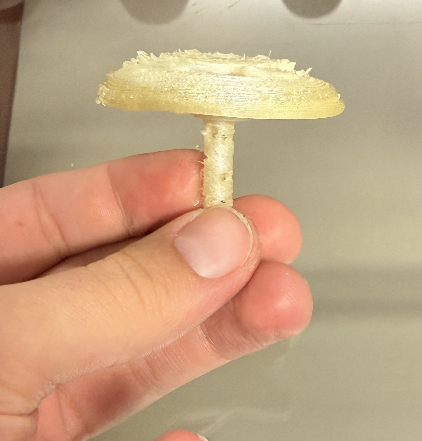 Mushroom Plant Waterer / Rain Collector V2