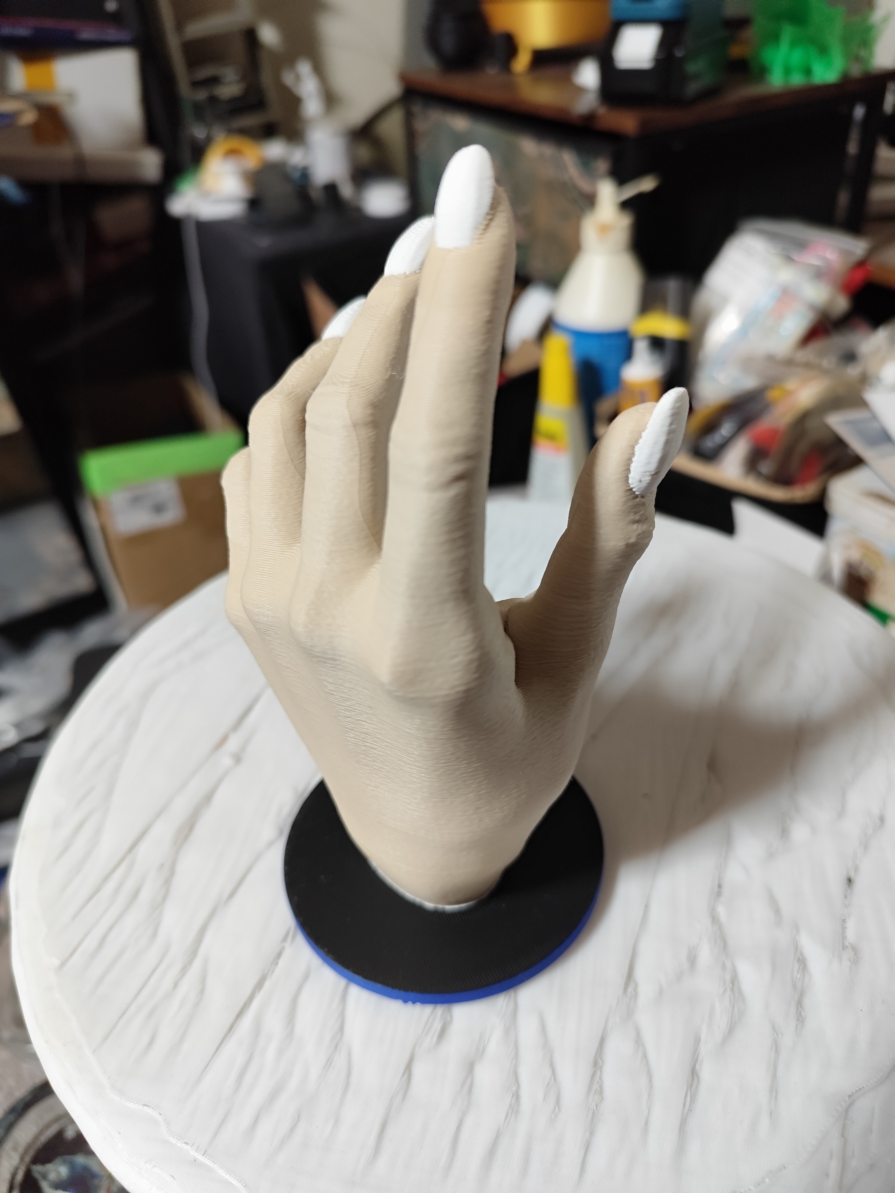 Gorgeous female hands