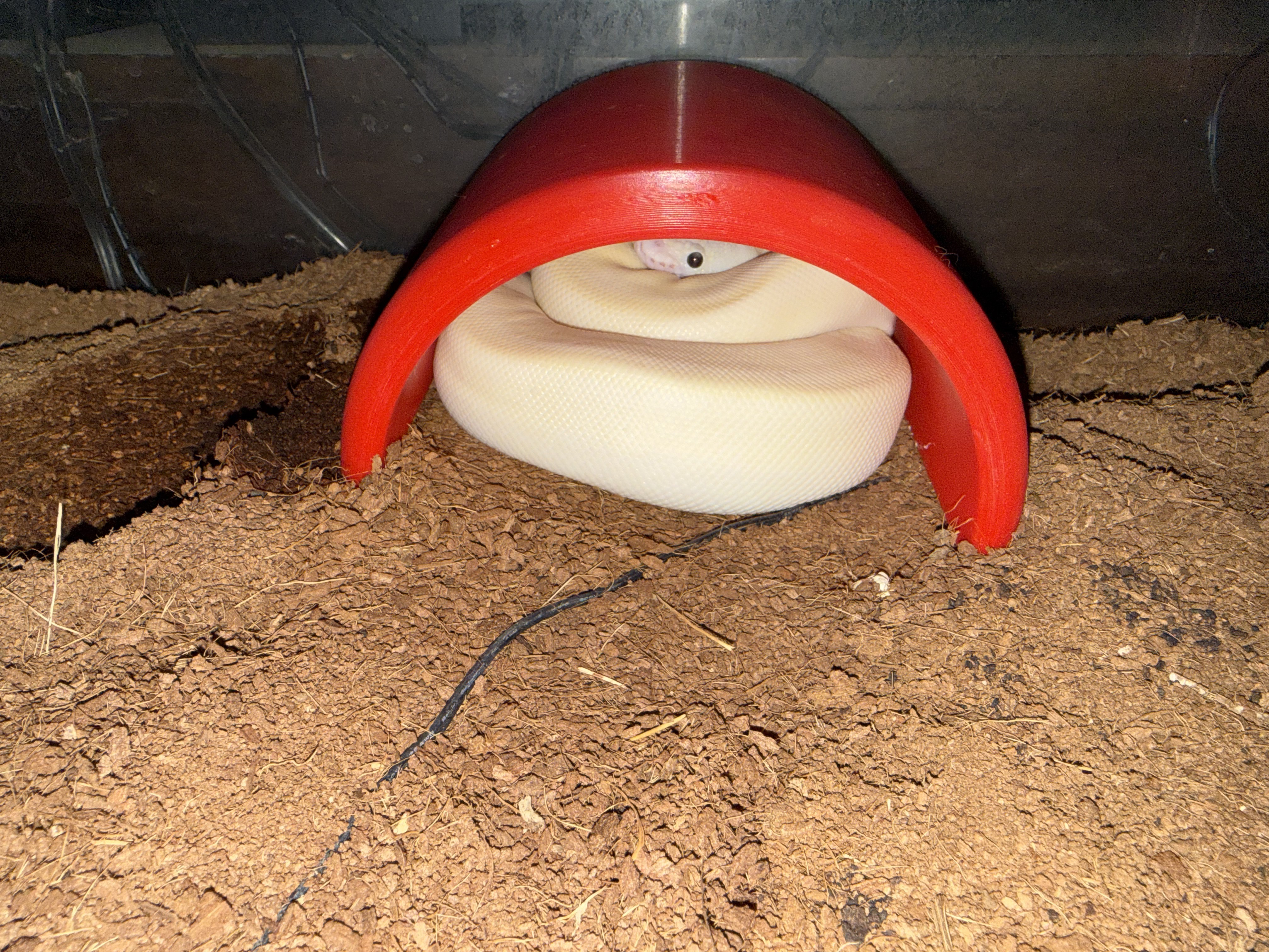 Miniatura 2 do modelo 3D Snake Hide - Half Log