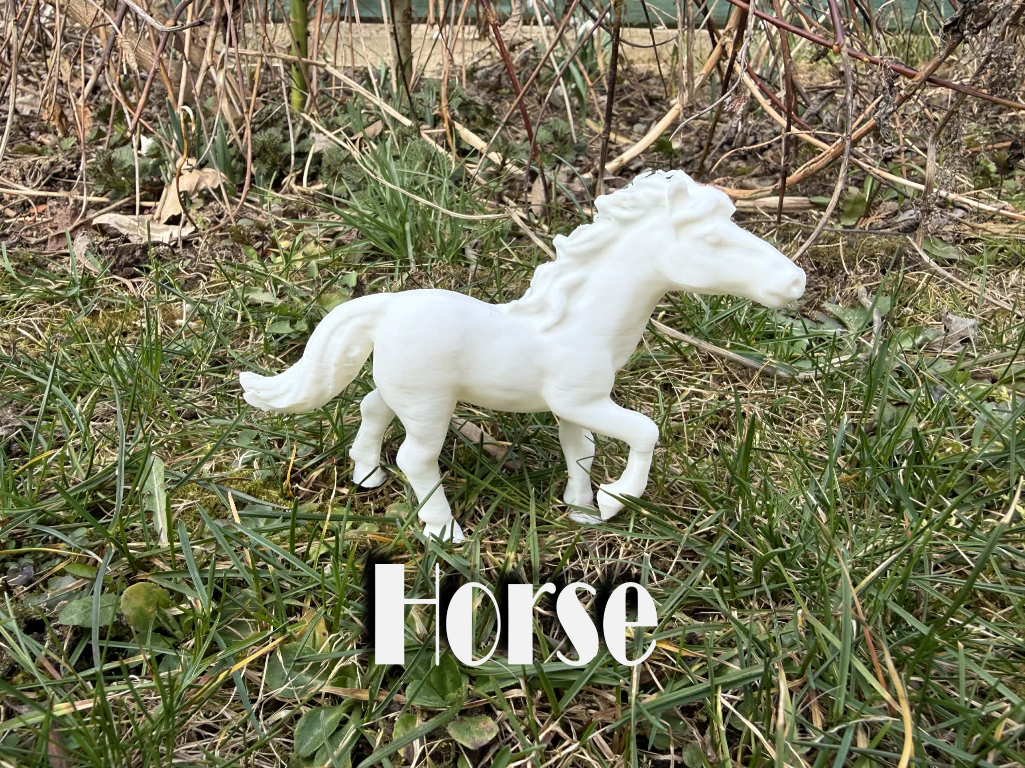 Thoroughbred horse at a walk