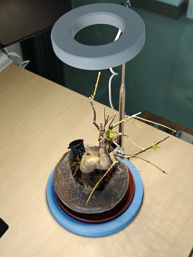Grow Light Holder (8 mm rod)