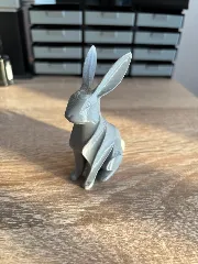 Yet another bunny