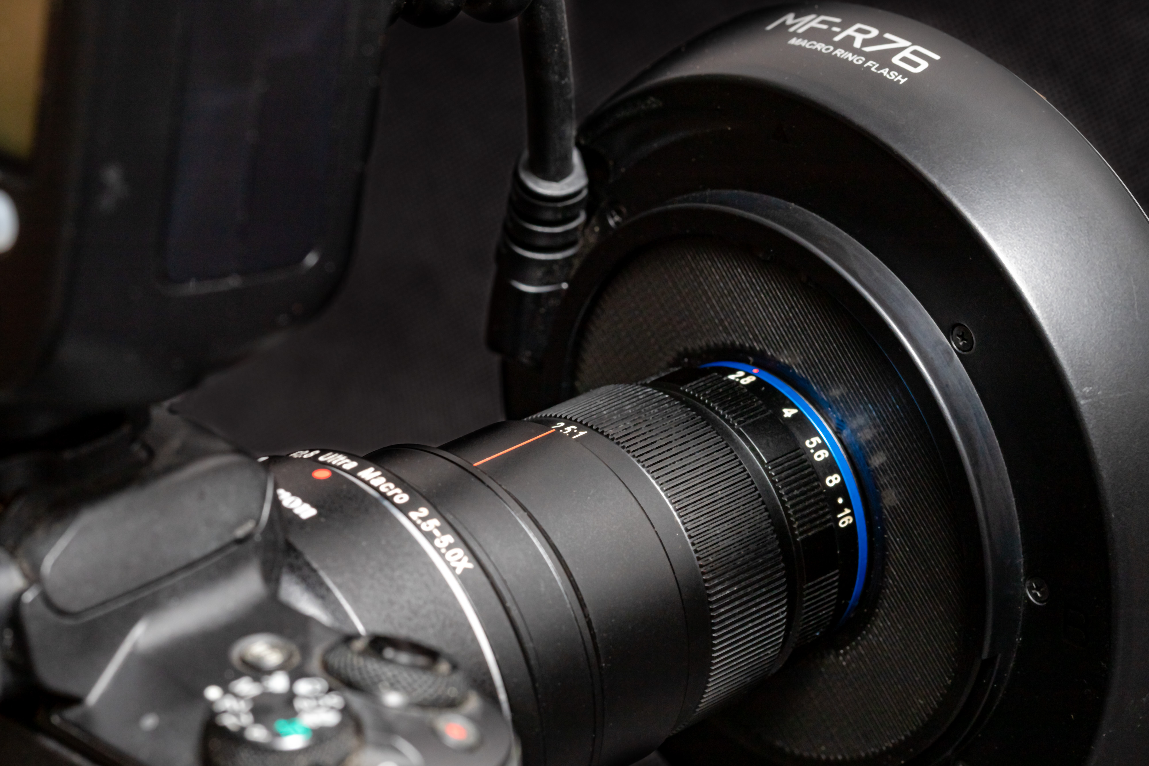 Godox MF-R76 Ring Flash Adater Plate for Laowa 25mm F2.8 2.5-5X Ultra Macro Lens