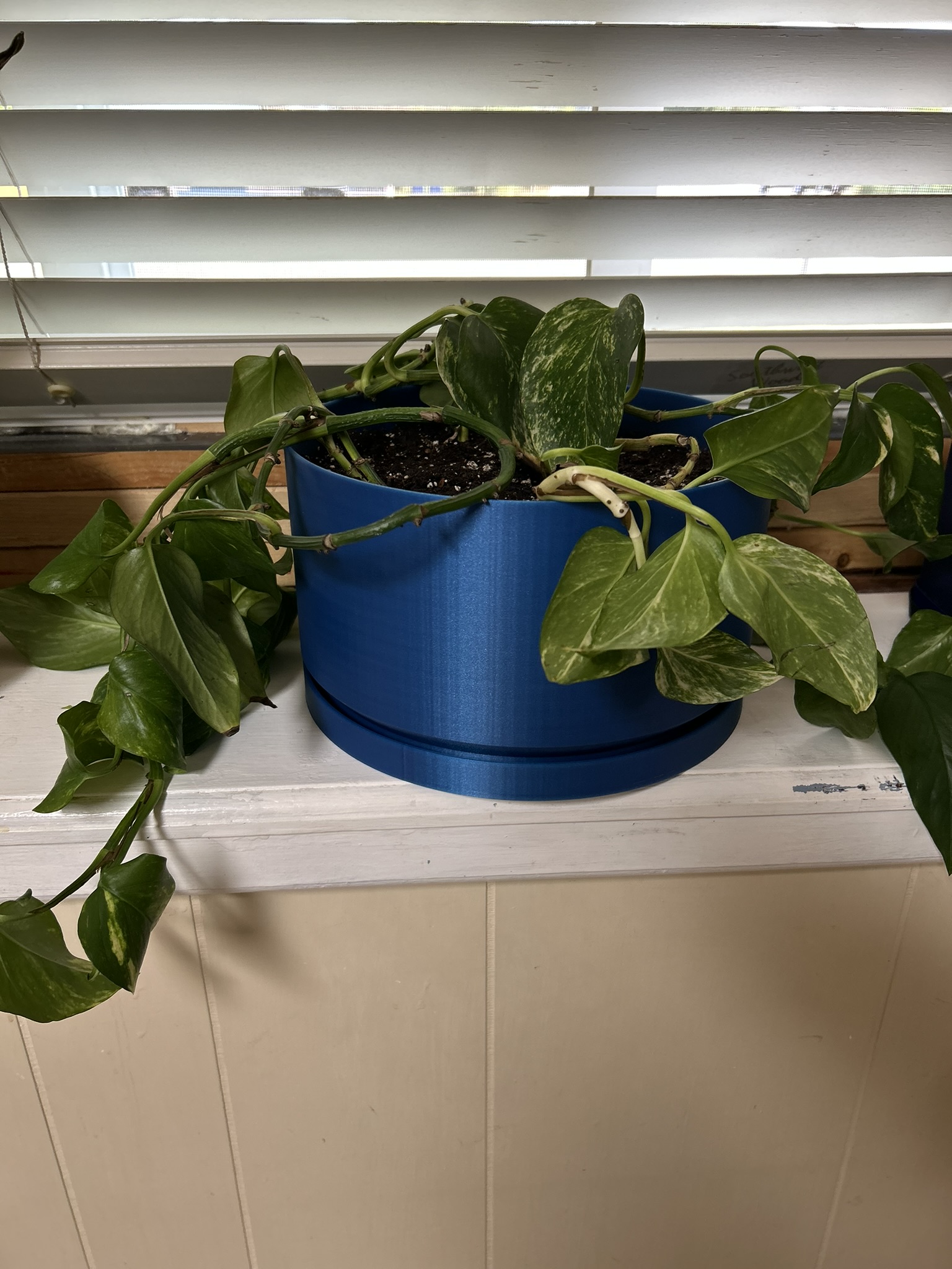 Parametric Flower pot with saucer