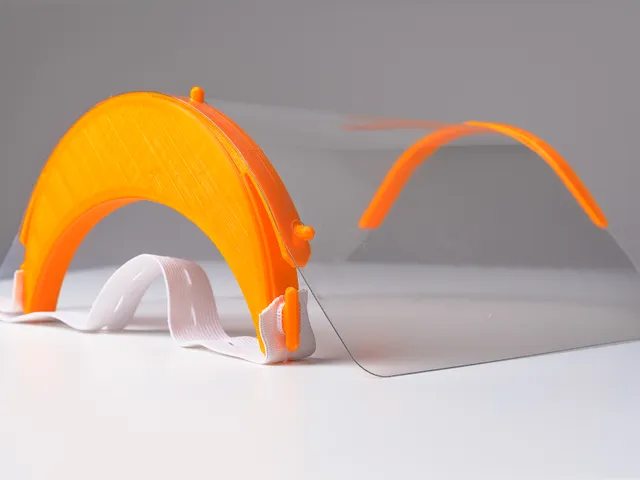 Face shield