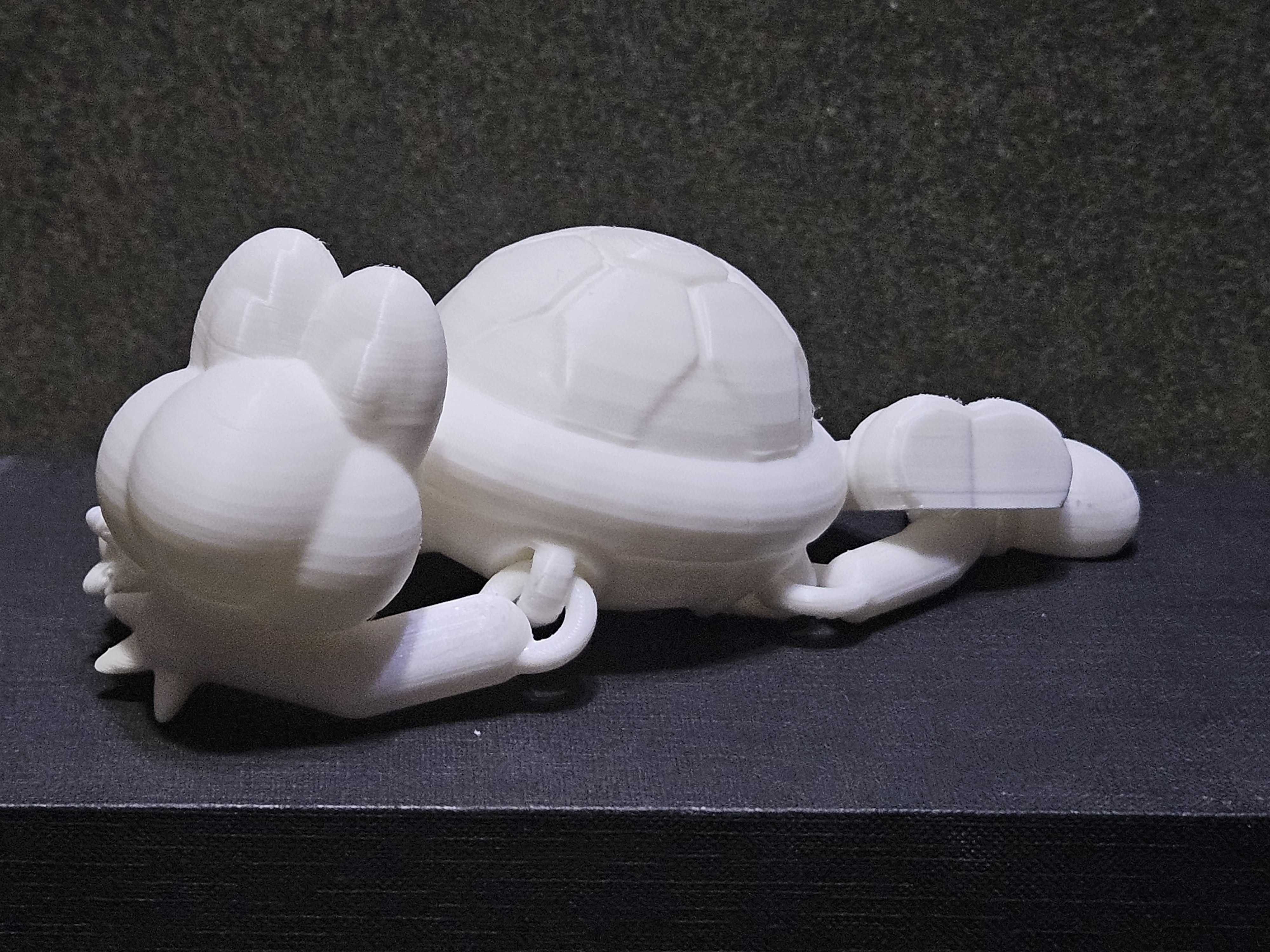 Articulated Turtle