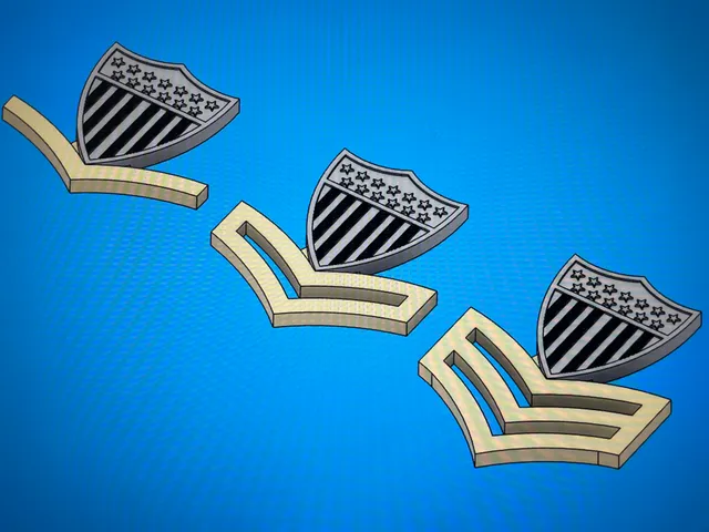 U.S. Coast Guard - Petty Officer Insignias (NCOs)