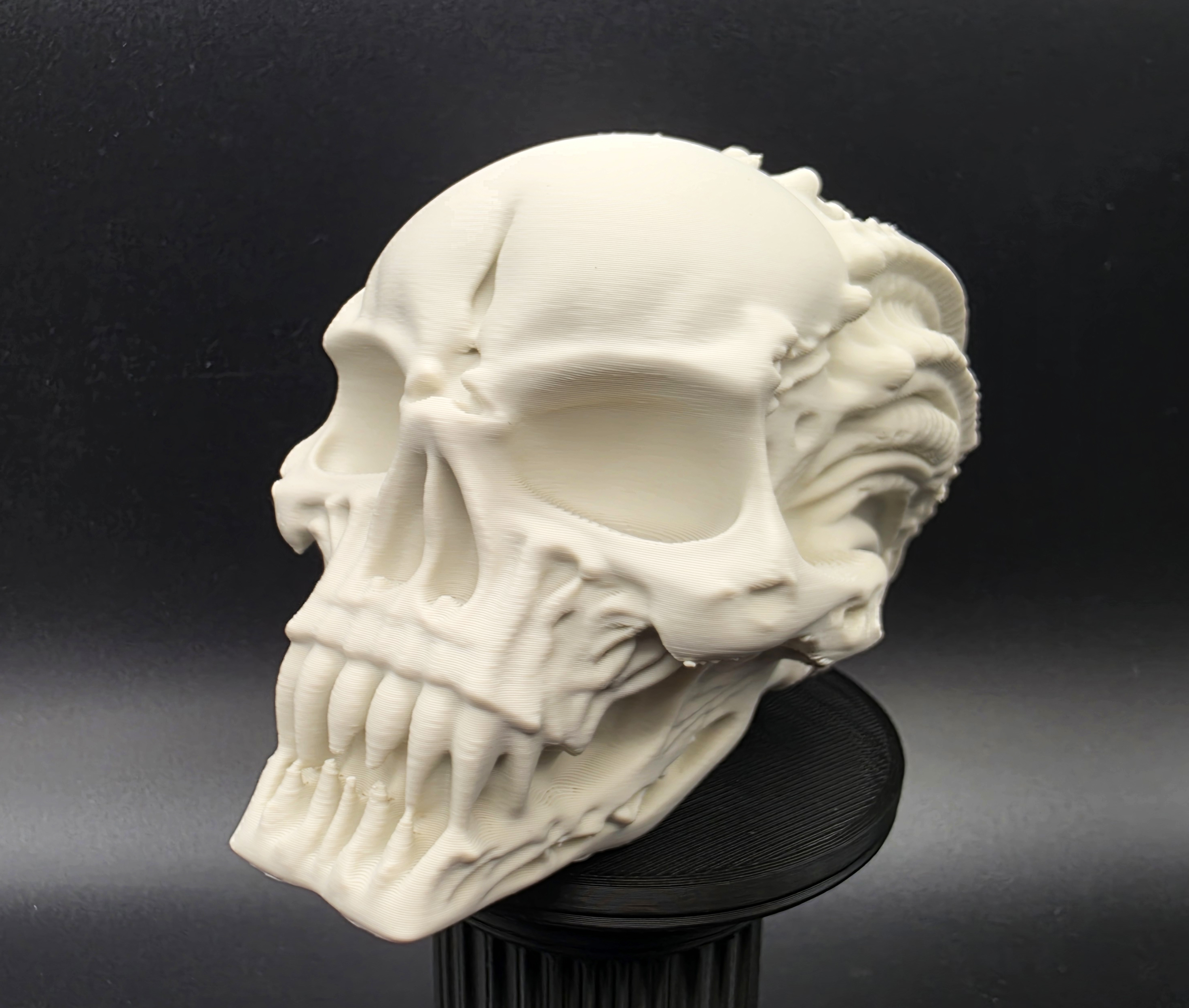 Miniatura 2 do modelo 3D Alien Devourer Skull
