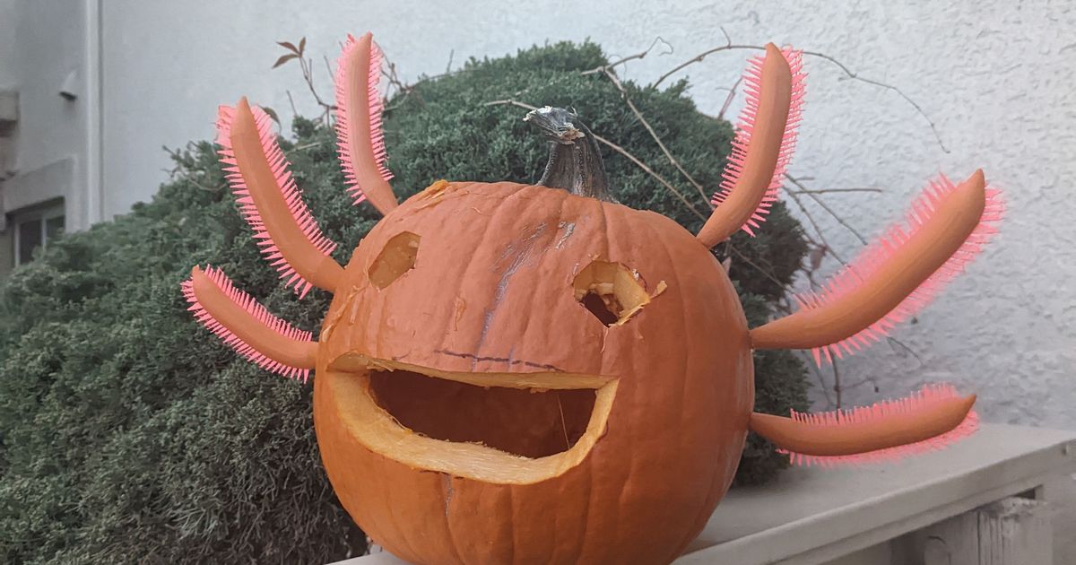 Axolotl Pumpkin Gills by deinfinityx Download free STL model