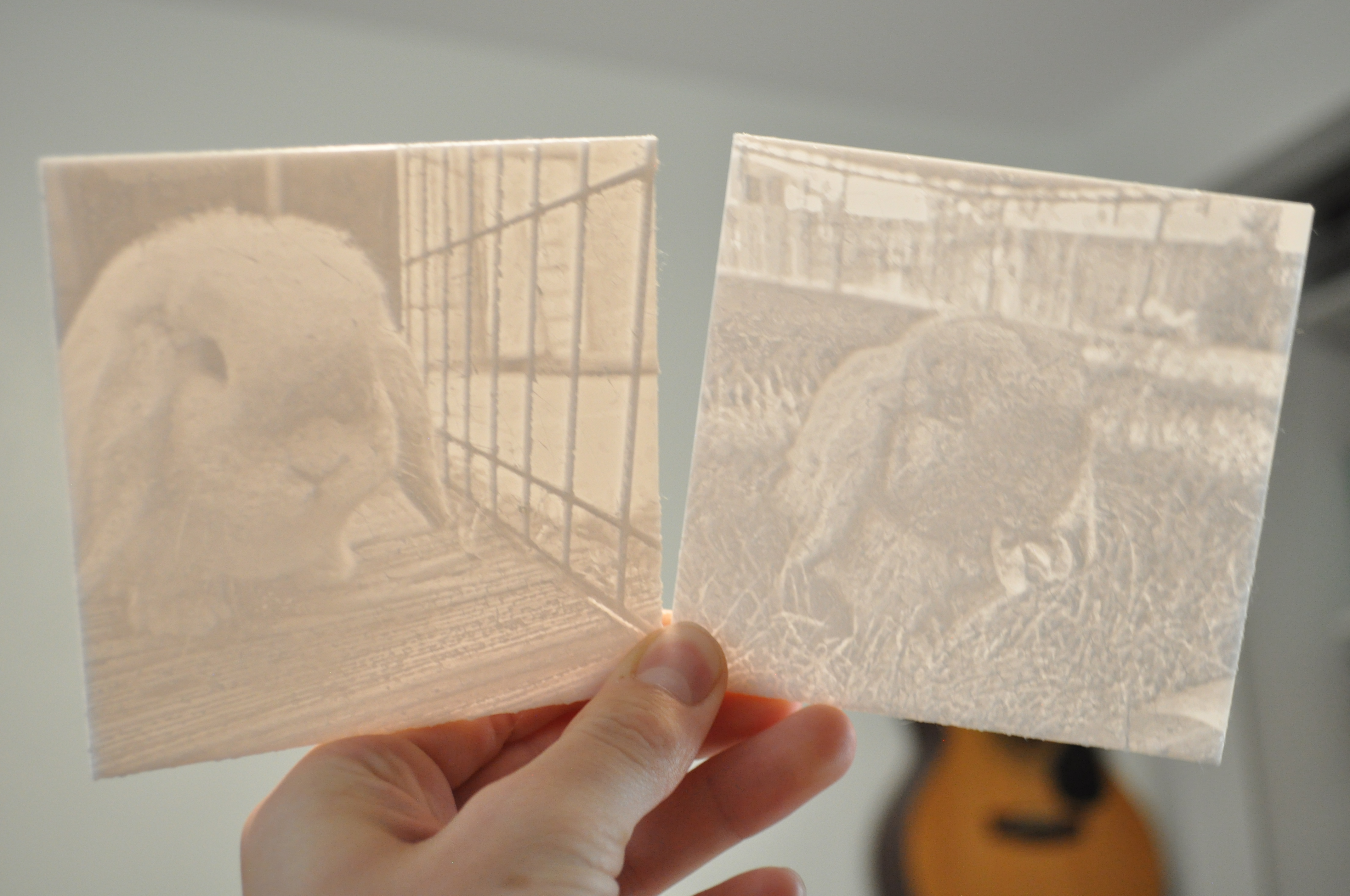 Bunny Lithophanes