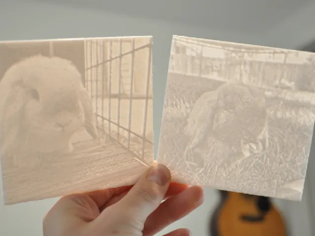 Bunny Lithophanes
