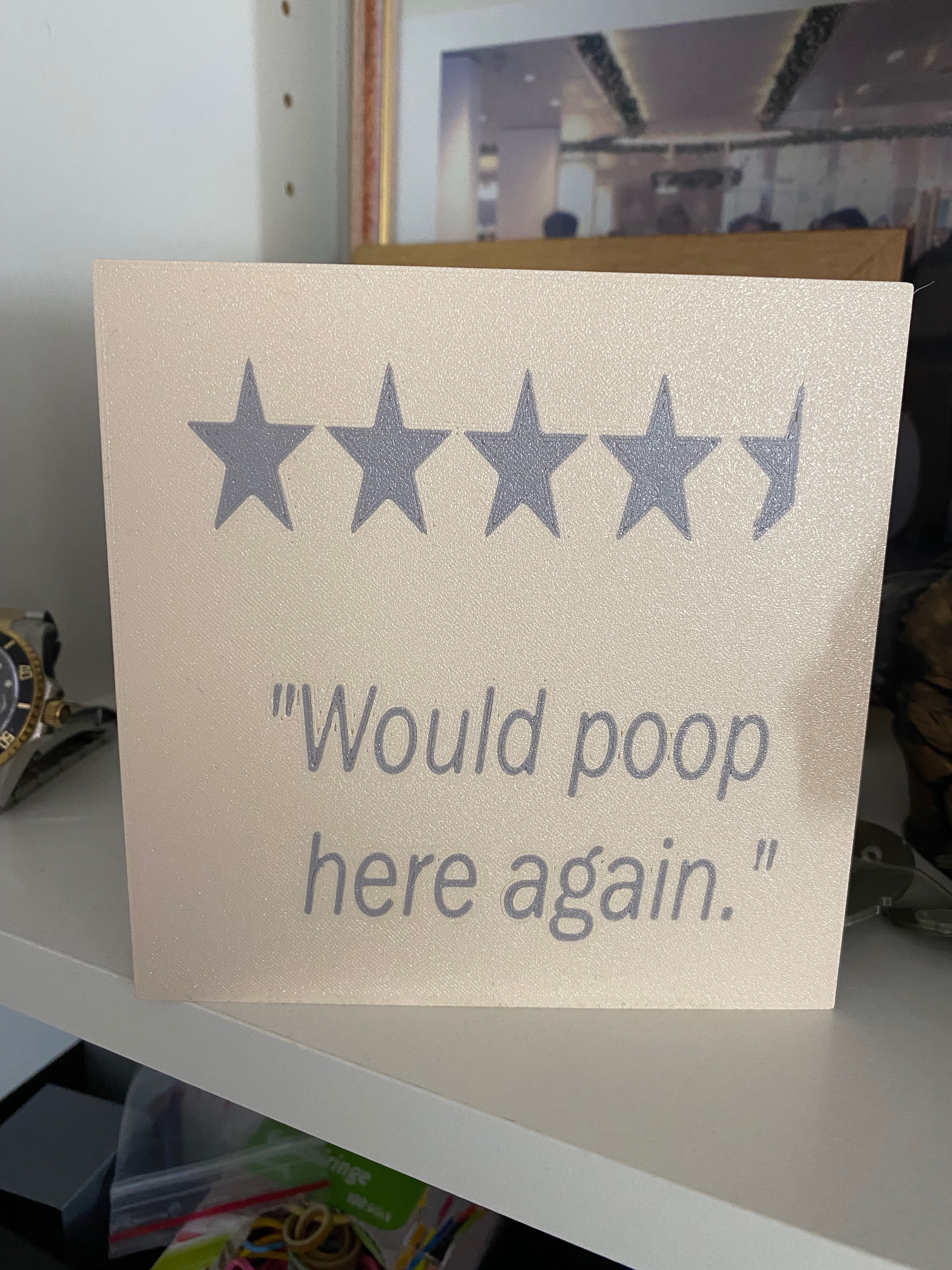Decorative Bathroom Sign "Would poop here" Flat-Remix, no mmu