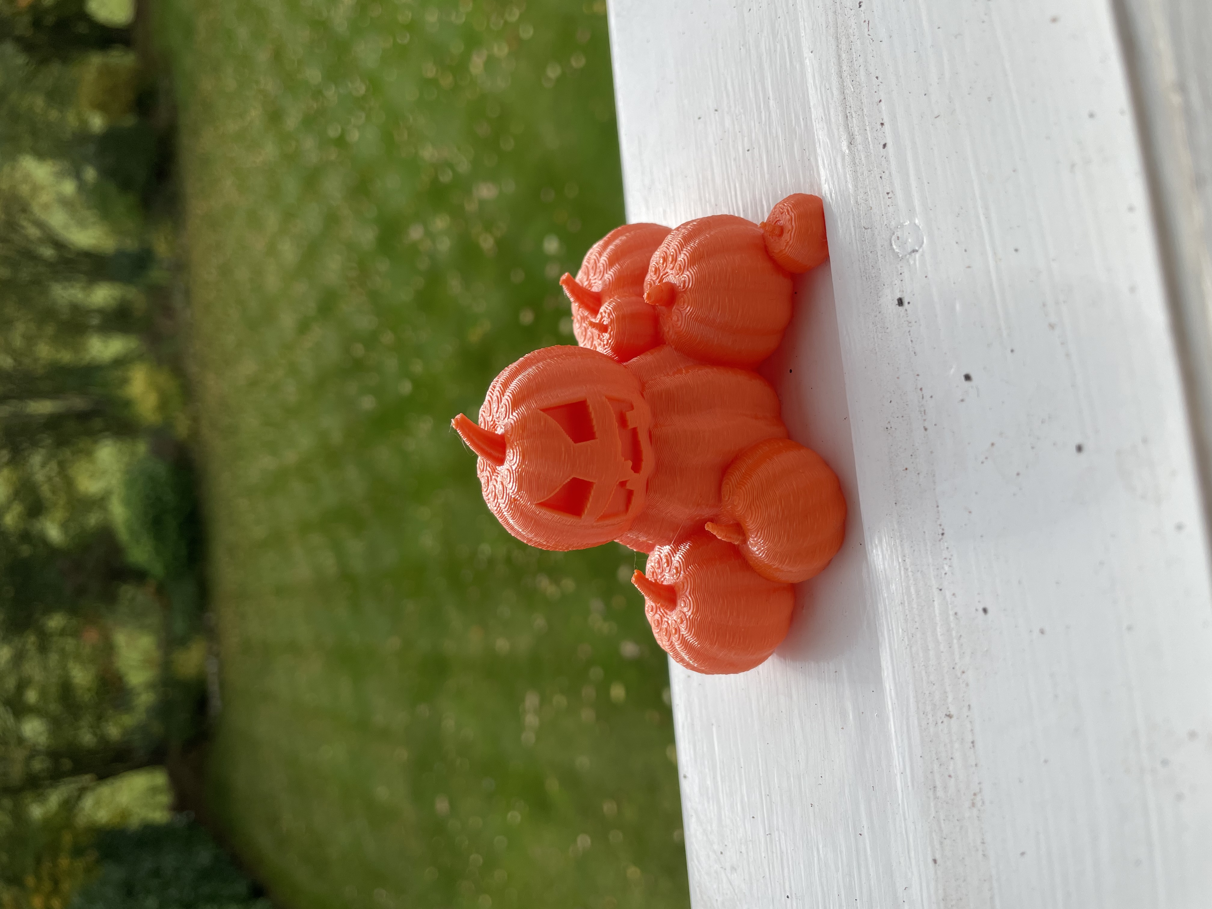 Miniatura 4 do modelo 3D Pumpkin Patch
